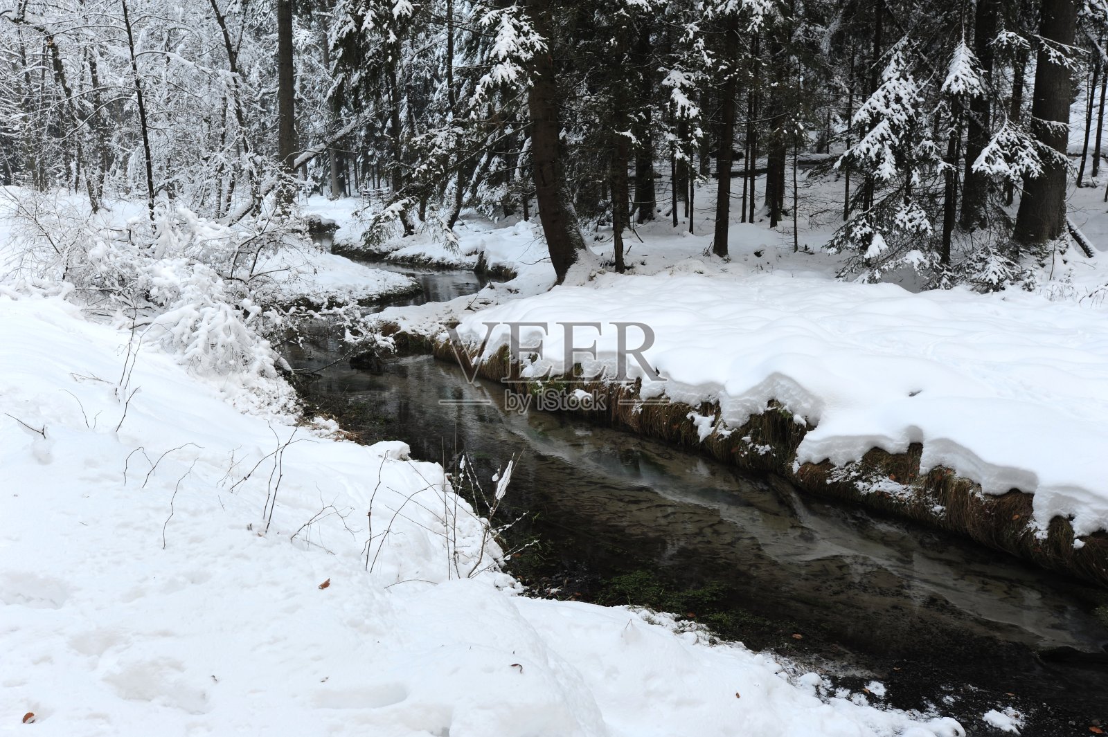 瑞士波西米亚的冬季景观照片摄影图片