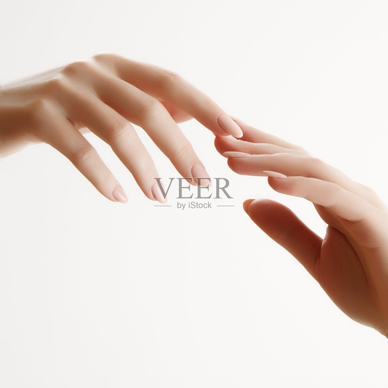 手皮肤护理。美丽女人的手与轻指甲的特写。手部护理霜。照片摄影图片