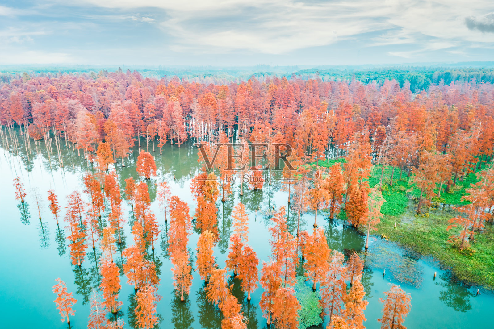 五彩缤纷的秋林和宁静的湖泊在自然公园，鸟瞰照片摄影图片