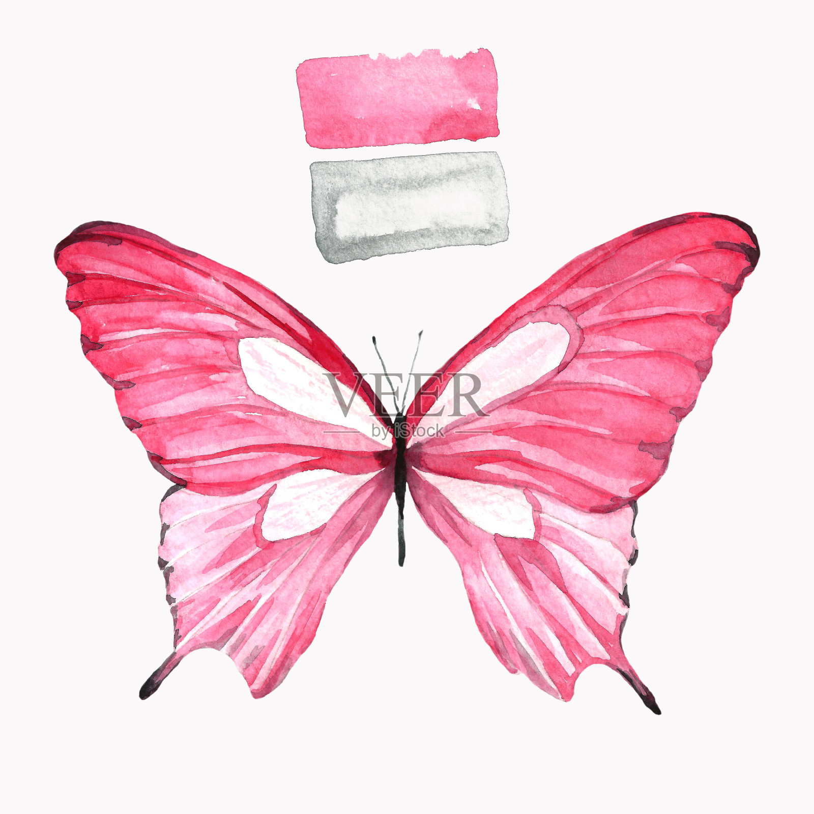 水彩粉色的蝴蝶。一种动物的单独图画。手工制作的说明。插画图片素材