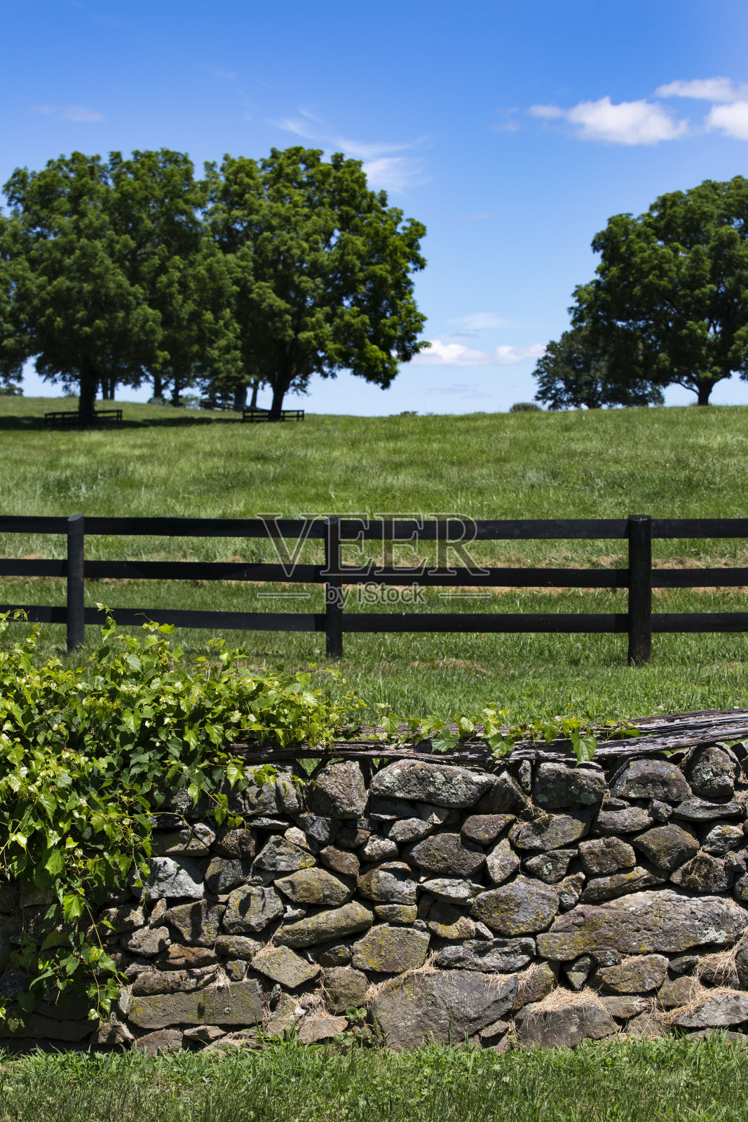 美丽的篱笆和岩石墙在一片田野附近的弗吉尼亚弗奎尔县照片摄影图片