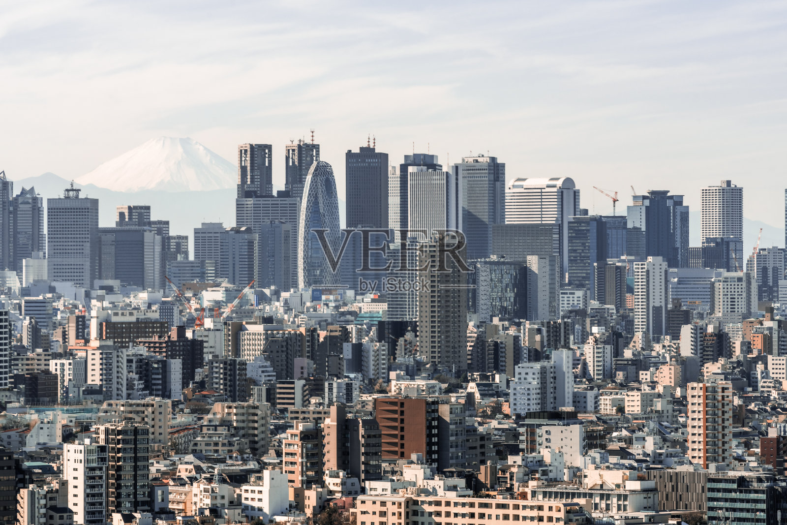 新宿市区市景鸟瞰图，以商业区和住宅区为背景，富士山为背景。东京观光旅游景点，日本旅游地标，或亚洲旅游概念照片摄影图片