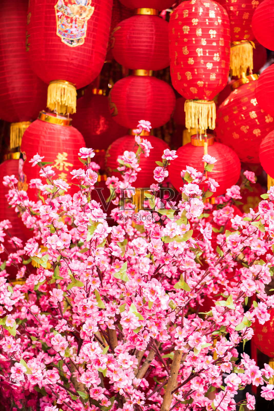观赏桃花和传统的红色灯笼(中国新年或春节概念)。(上面有不同风格的汉字“福”，意思是“好运”或“祝福”)照片摄影图片