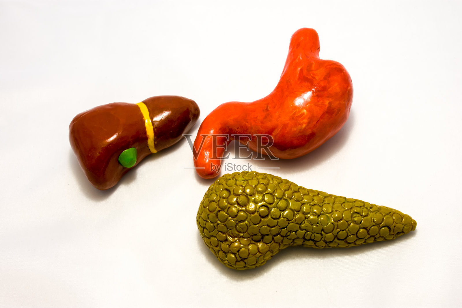 胃肠道器官:胃、肝、胆、胰。消化道上部解剖结构的概念照片，主要器官的解剖图形照片摄影图片