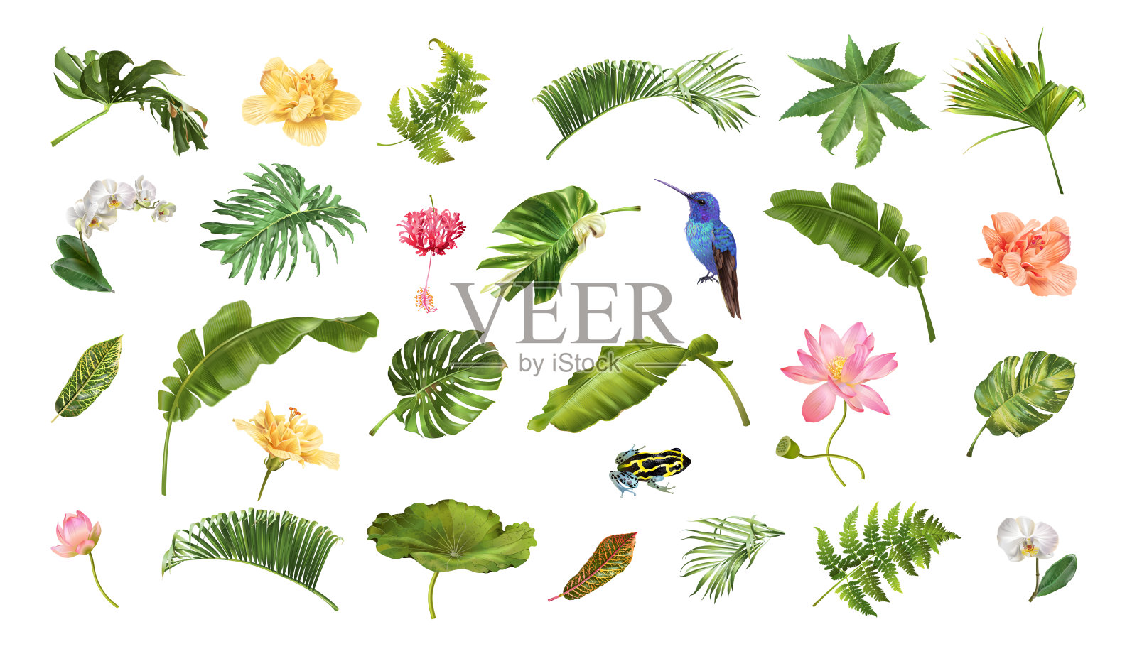 热带植物逼真，动物和花卉设置设计元素图片