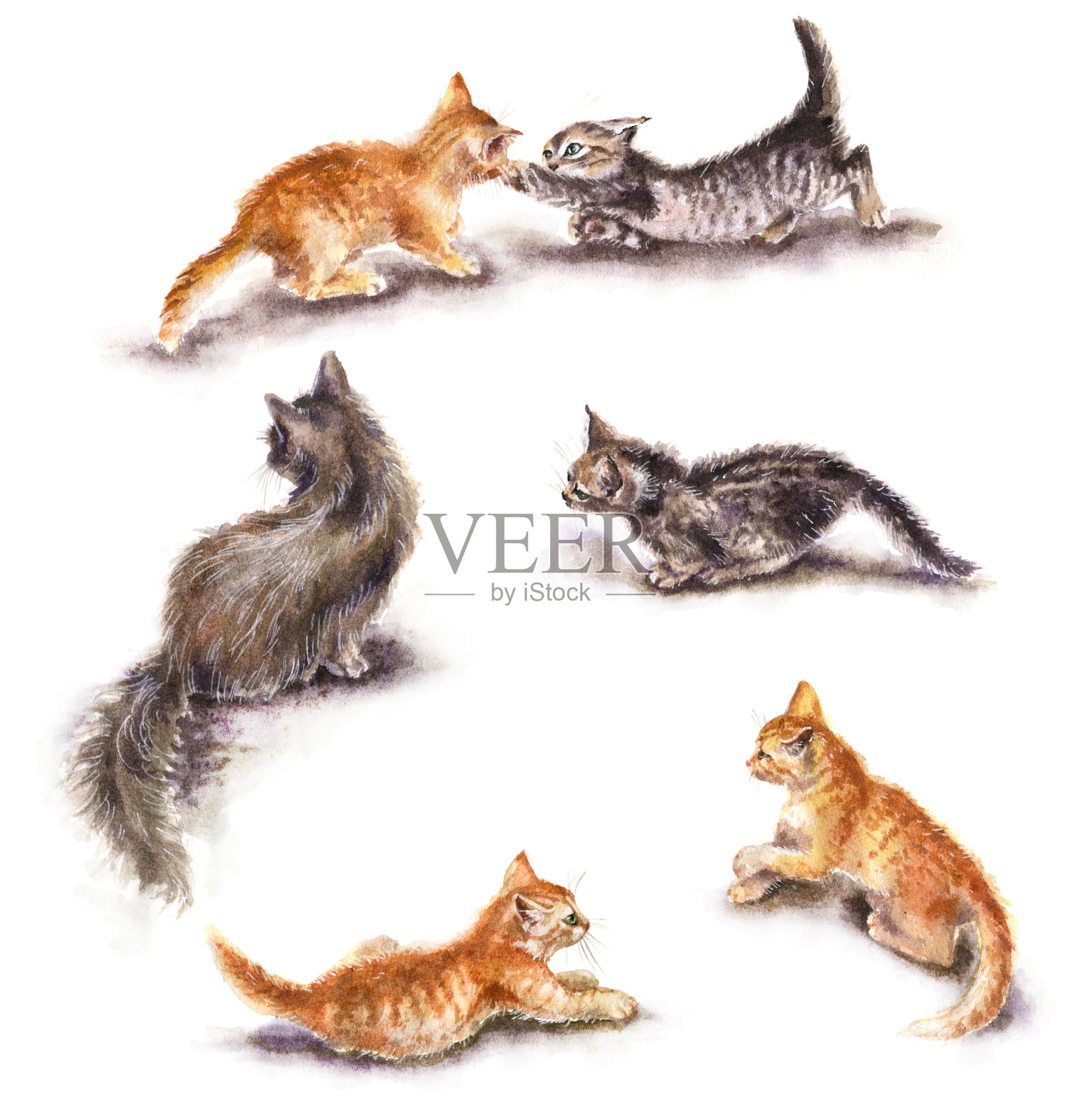 红灰小猫水彩素描插画图片素材