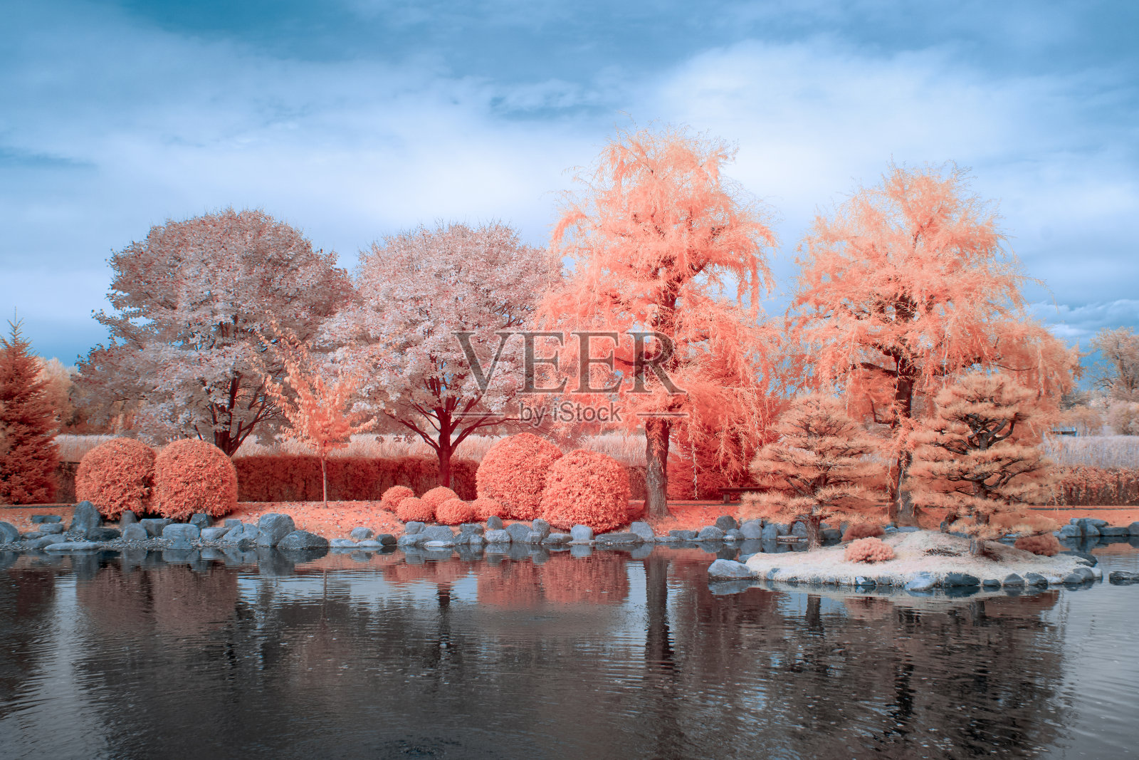 日本花园的红外颜色照片摄影图片