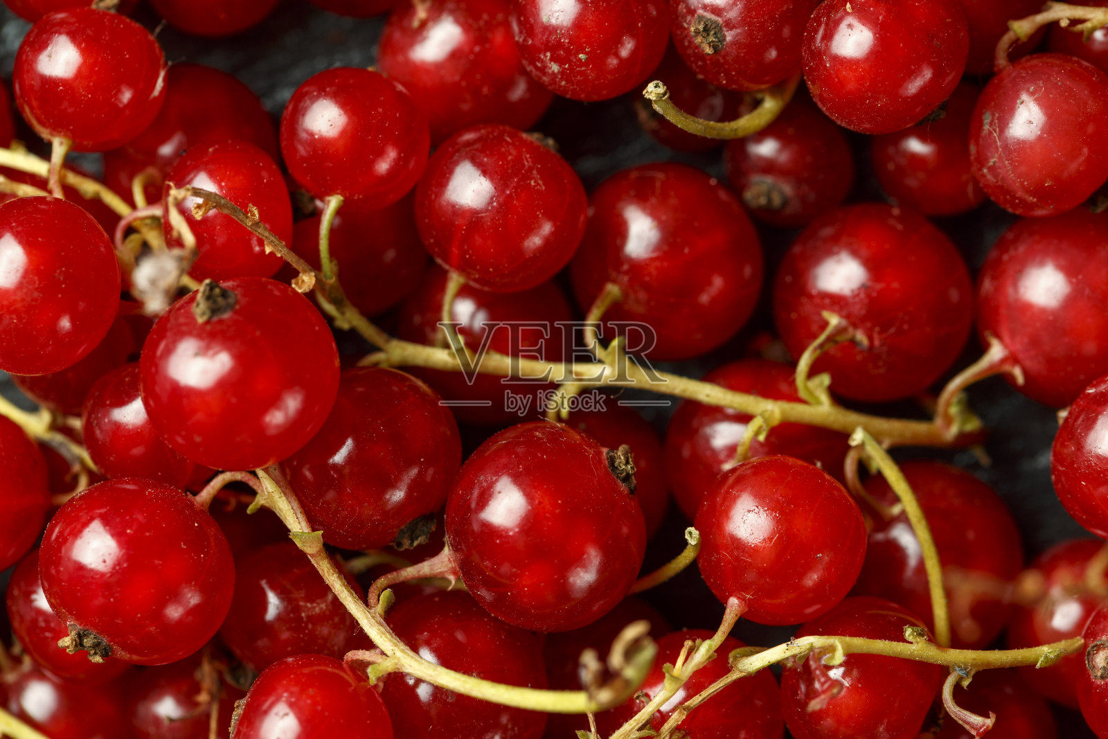 成熟多汁的红醋栗浆果背景。照片摄影图片