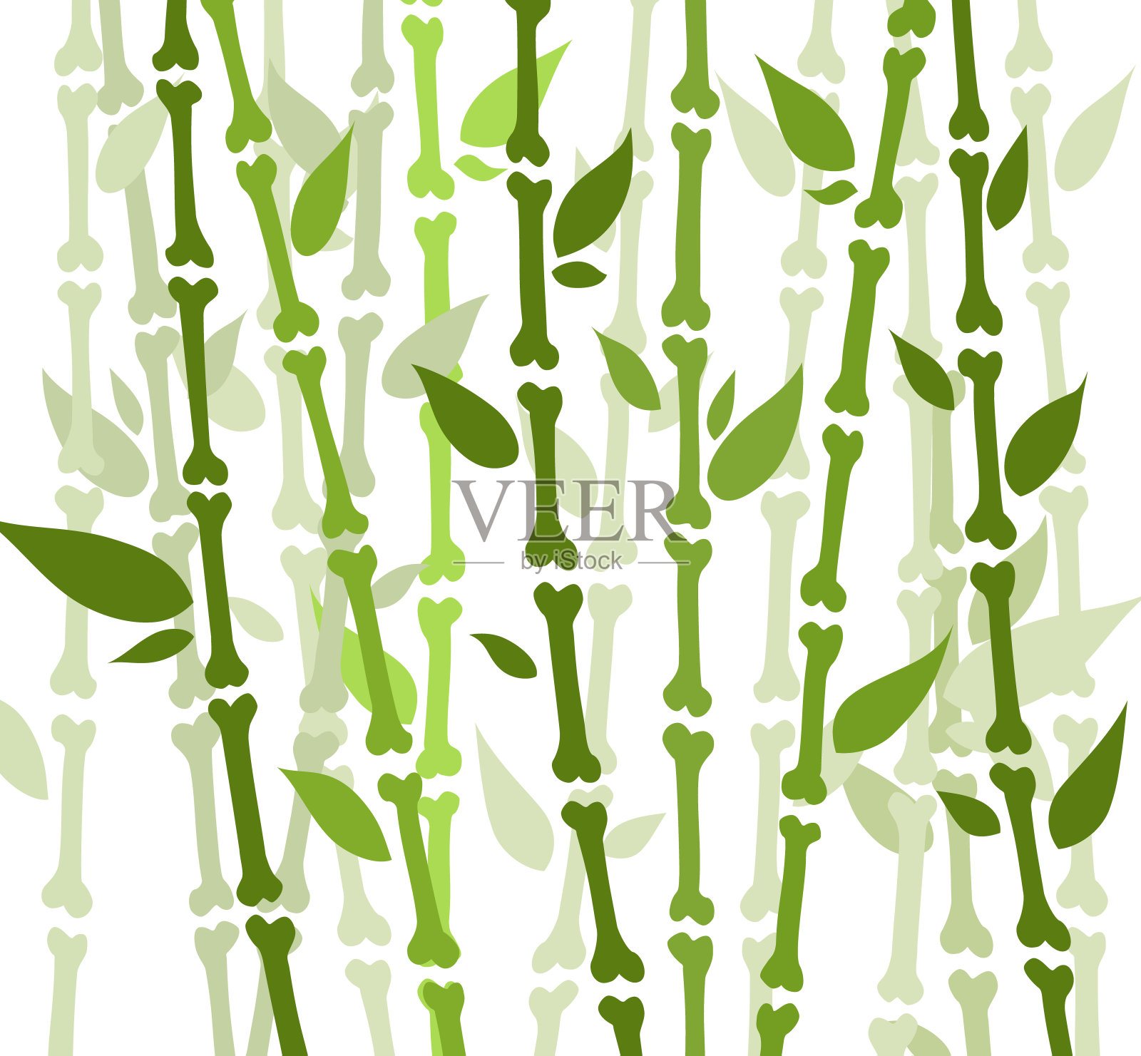 竹林。自然日本、中国。种植有叶子的绿树。在亚洲热带雨林。插画图片素材