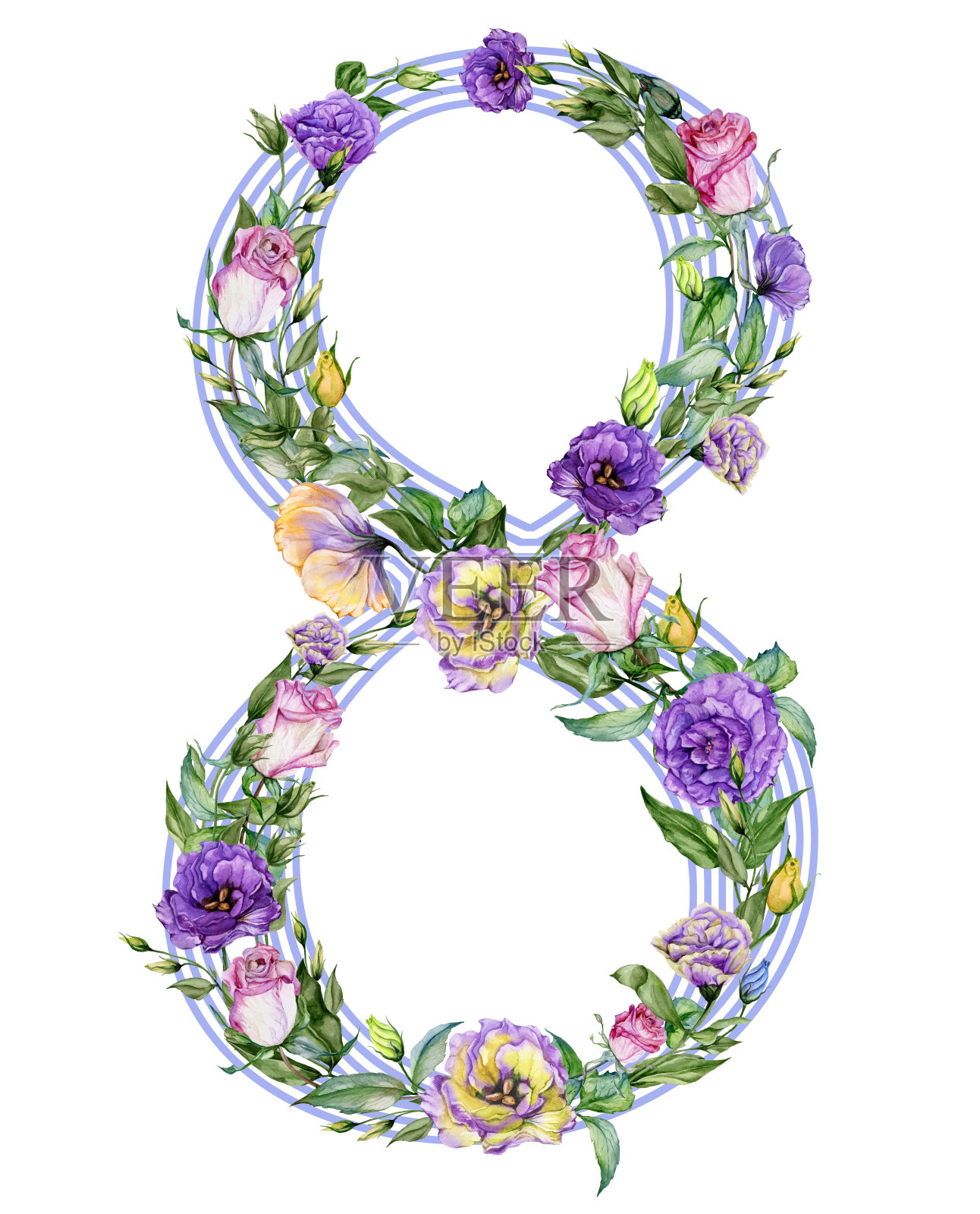 8号装饰有美丽的玫瑰和口水仙花。3月8日国际妇女节插画。插画图片素材