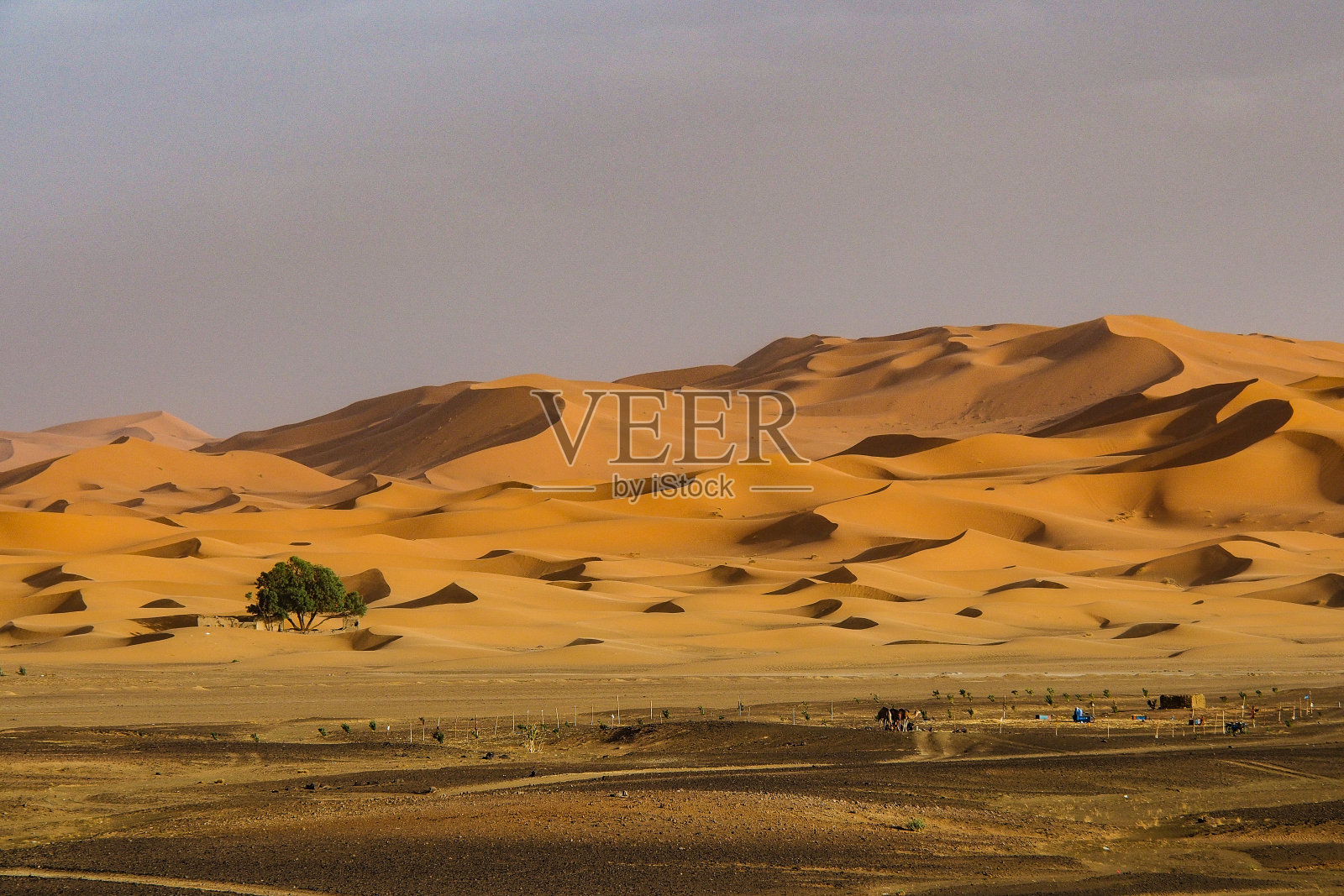 在摩洛哥东南部Merzouga附近的Erg Chebbi沙丘。照片摄影图片