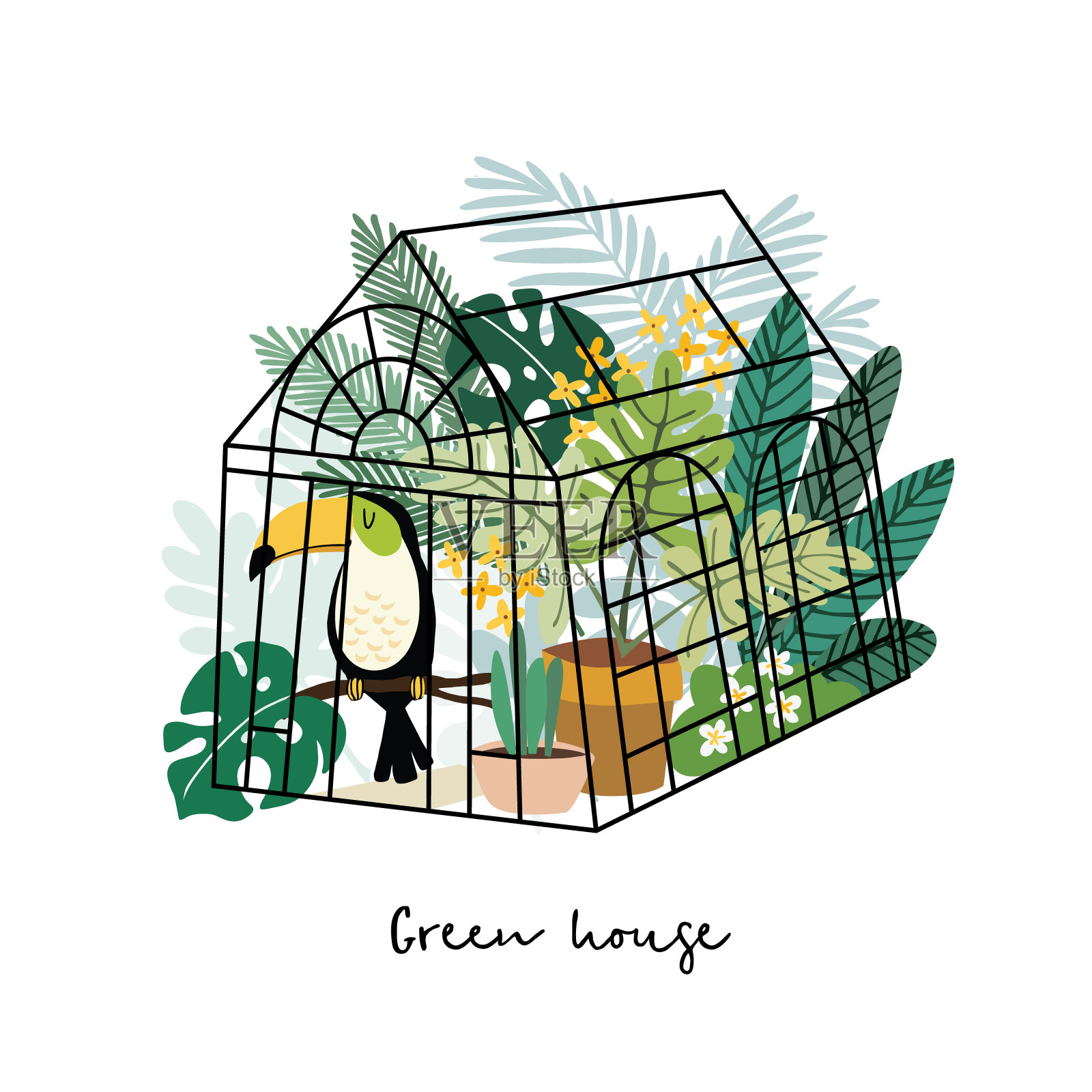 夏日热带贺卡、请帖。巨嘴鸟在绿色的房子与棕榈和怪兽的叶子和花。可爱的卡通矢量插图，平面设计。园艺、植物的概念。插画图片素材