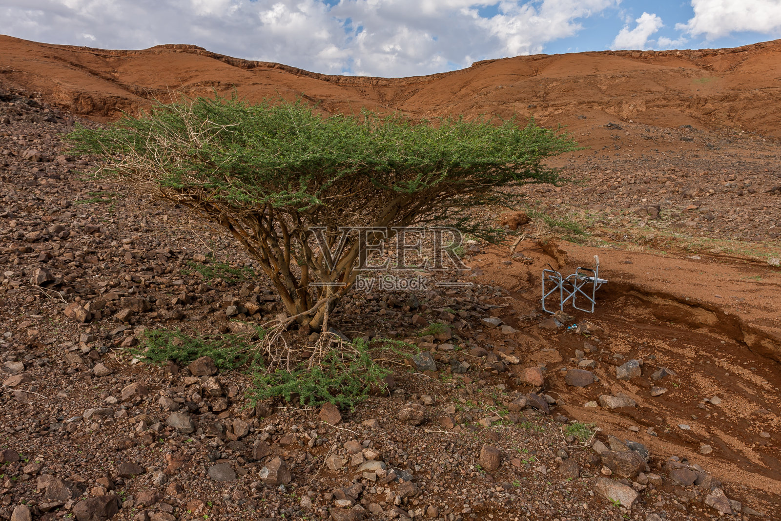 沙特阿拉伯，Al Wahbah火山口的斜坡上长满了植被照片摄影图片