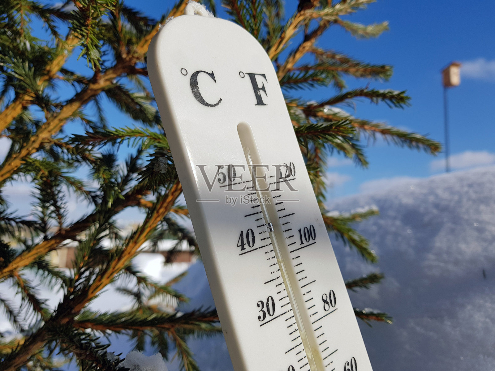 街道温度计上有摄氏和华氏温度的积雪，旁边是一棵小松树照片摄影图片