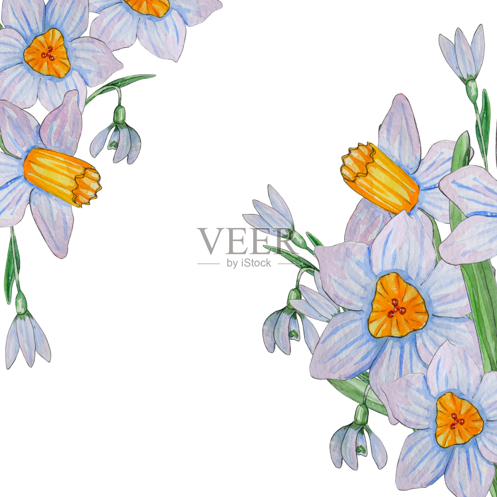手绘水彩模板的春天的花朵。插画图片素材