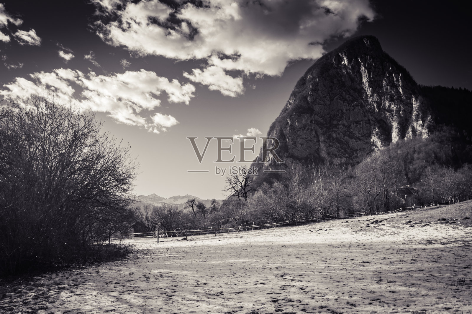 美丽的黑色和白色的冬季风景在波欣日，斯洛文尼亚照片摄影图片