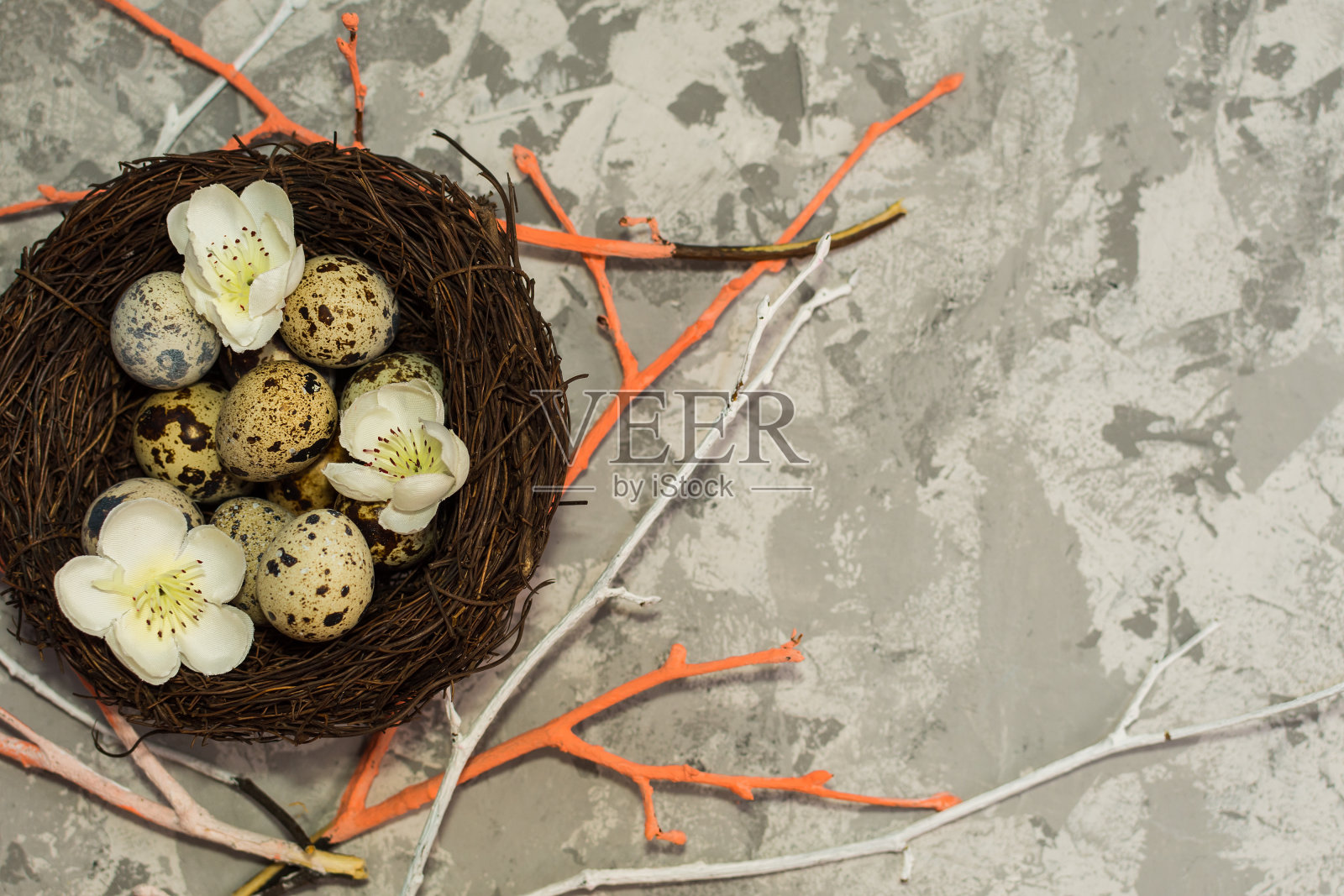 蛋巢。复活节快乐概念照片摄影图片