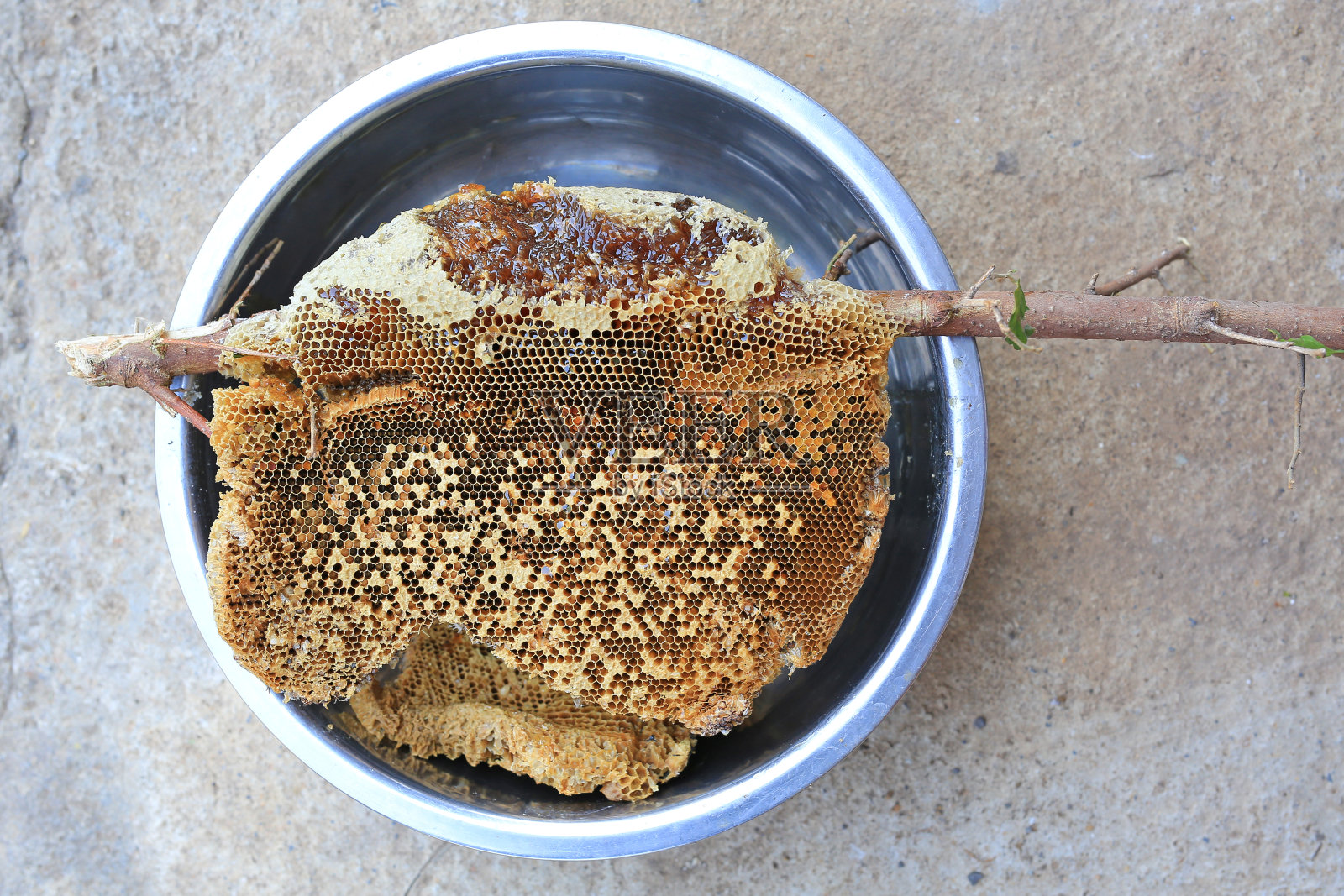 满巢的蜂房，野蜂巢，树枝上的蜜蜂蜂群，蜂房自然与甜蜜蜂在铝碗。照片摄影图片