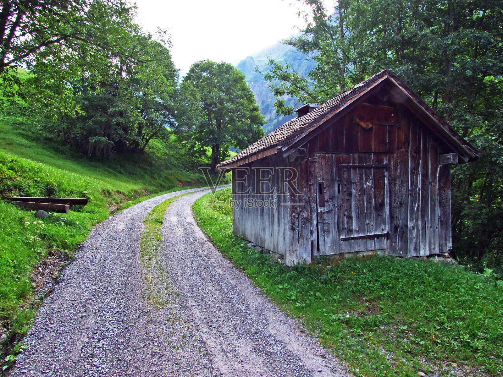 Sernftal高山山谷的乡村传统建筑和牲畜农场照片摄影图片