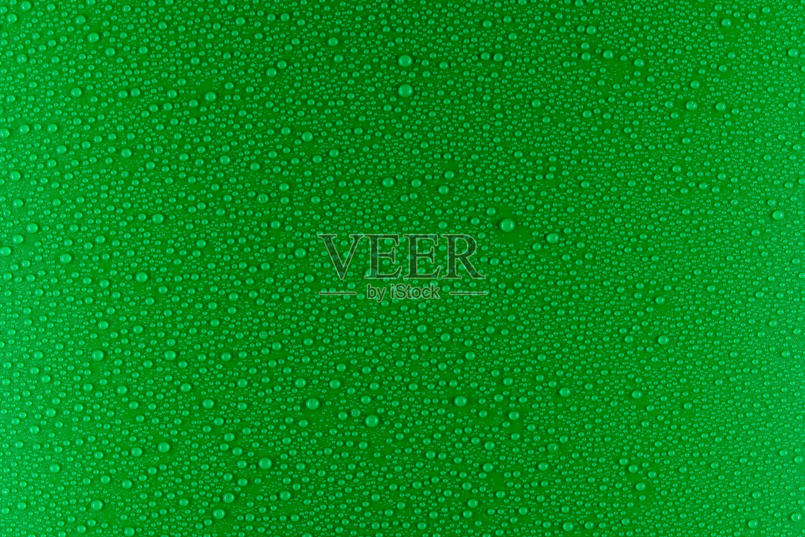 绿色的哑光背景上的小水滴被精致的光线照亮。照片摄影图片