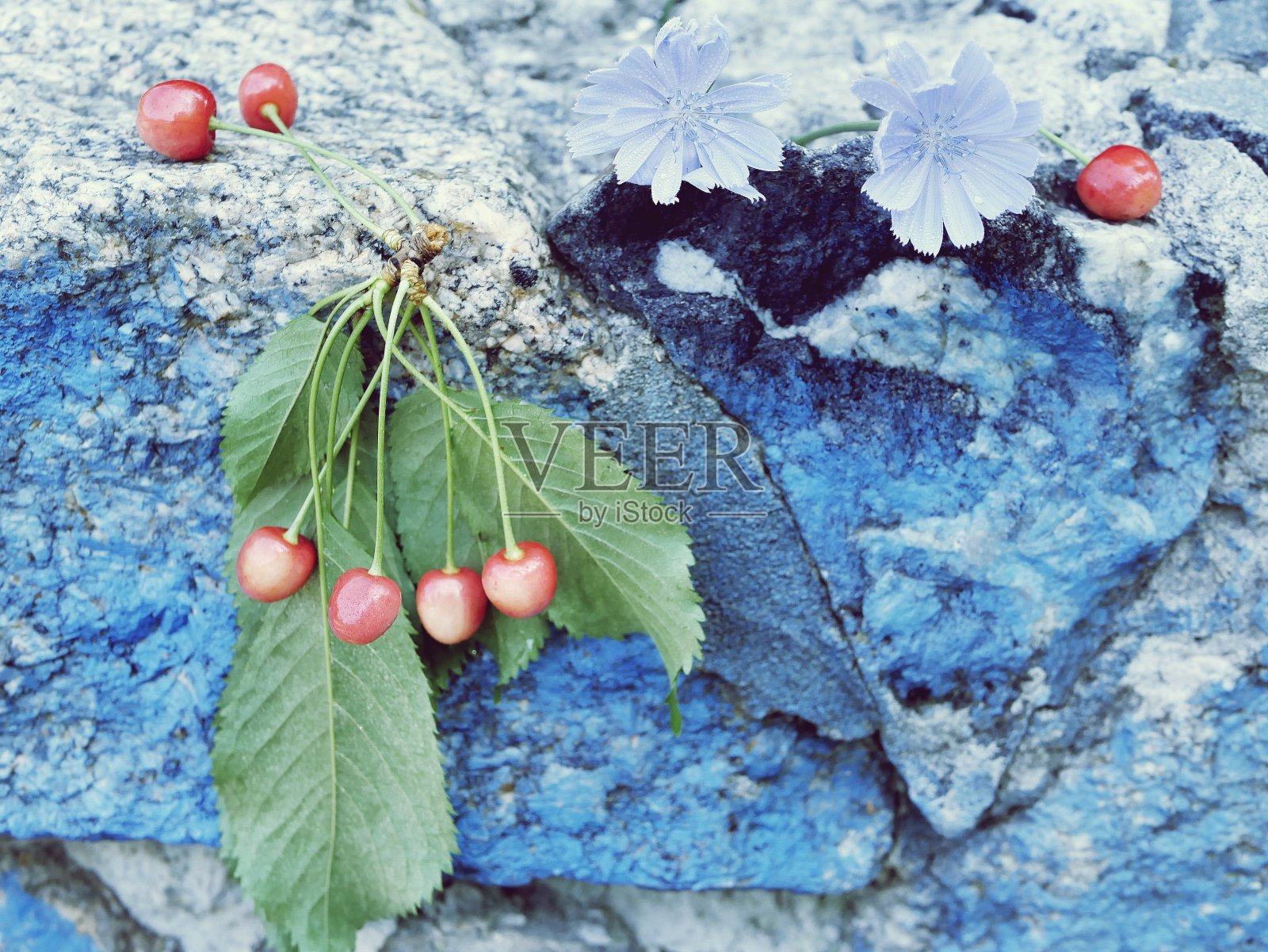 在蓝色花岗岩的背景上，一束新鲜的樱桃照片摄影图片