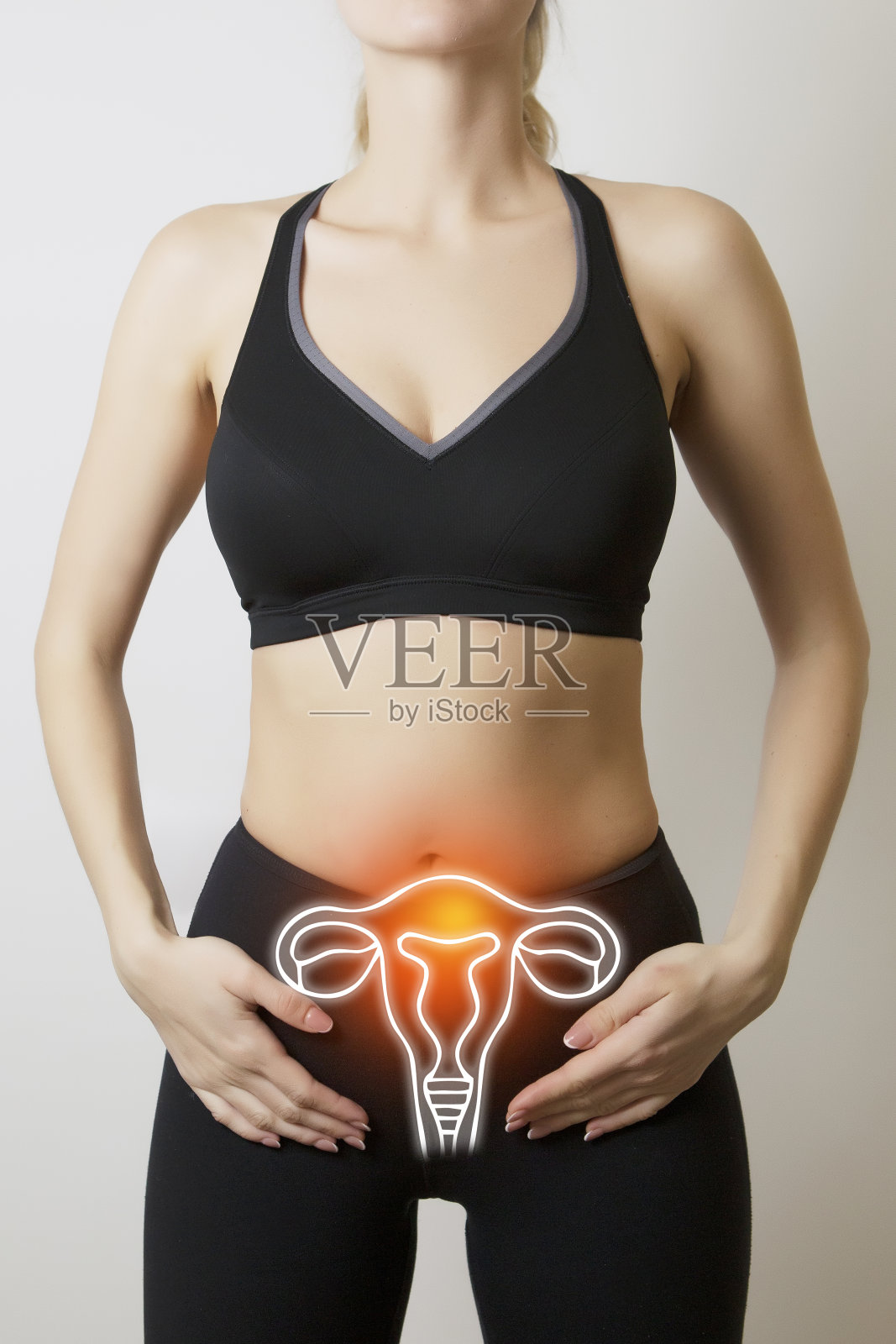 女性身体的生殖-泌尿系统可视化照片摄影图片
