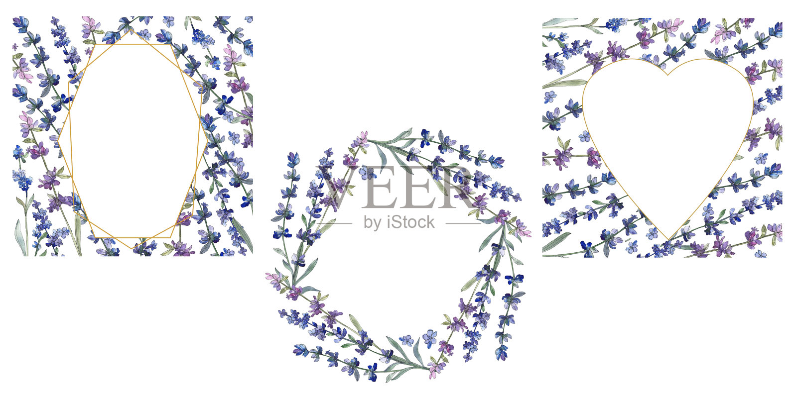 紫色的薰衣草。花卉植物的花。水彩背景插图集。边框装饰方形。插画图片素材