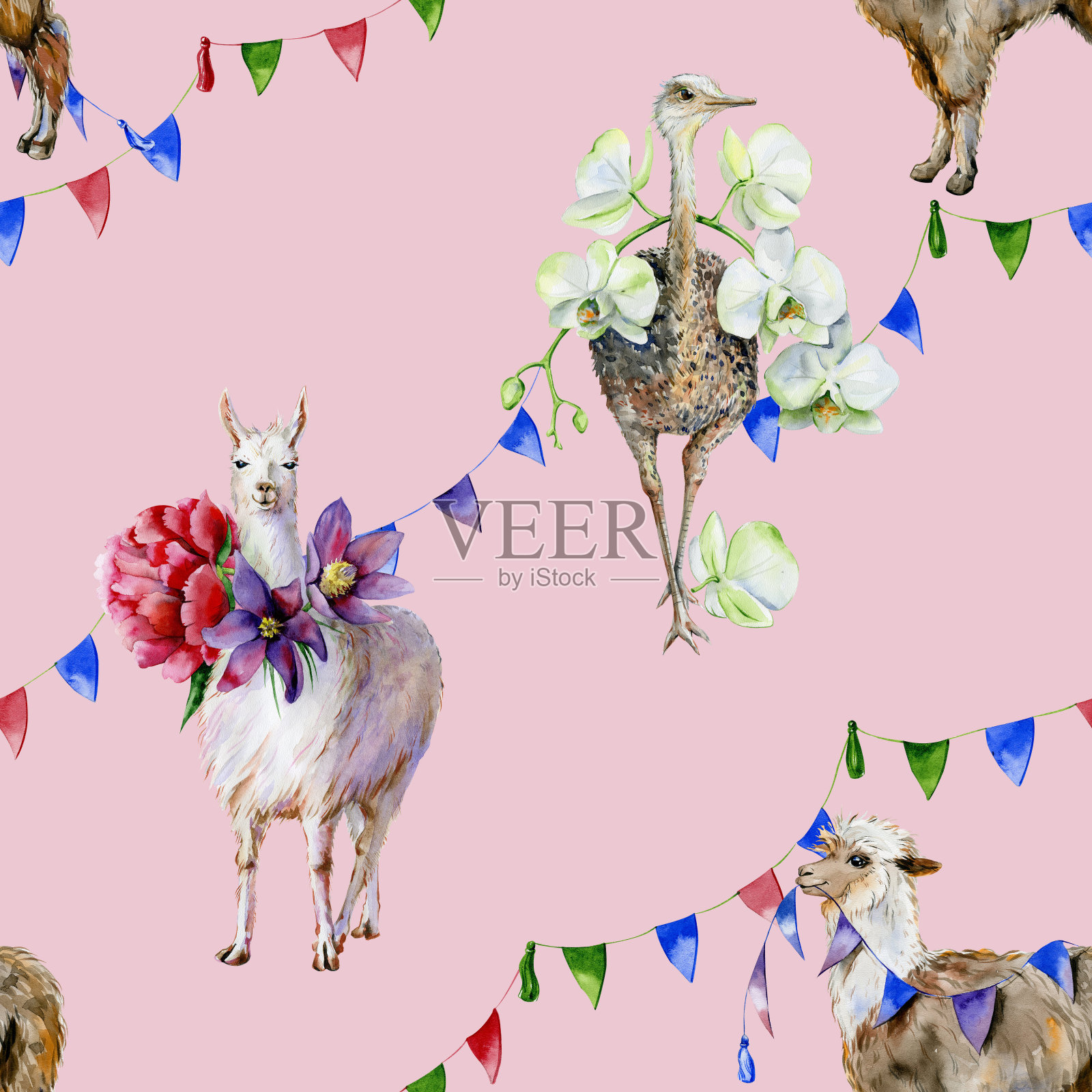 水彩无缝图案的卡通羊驼，可爱的羊驼和鸵鸟与兰花，牡丹和丝带。插画图片素材