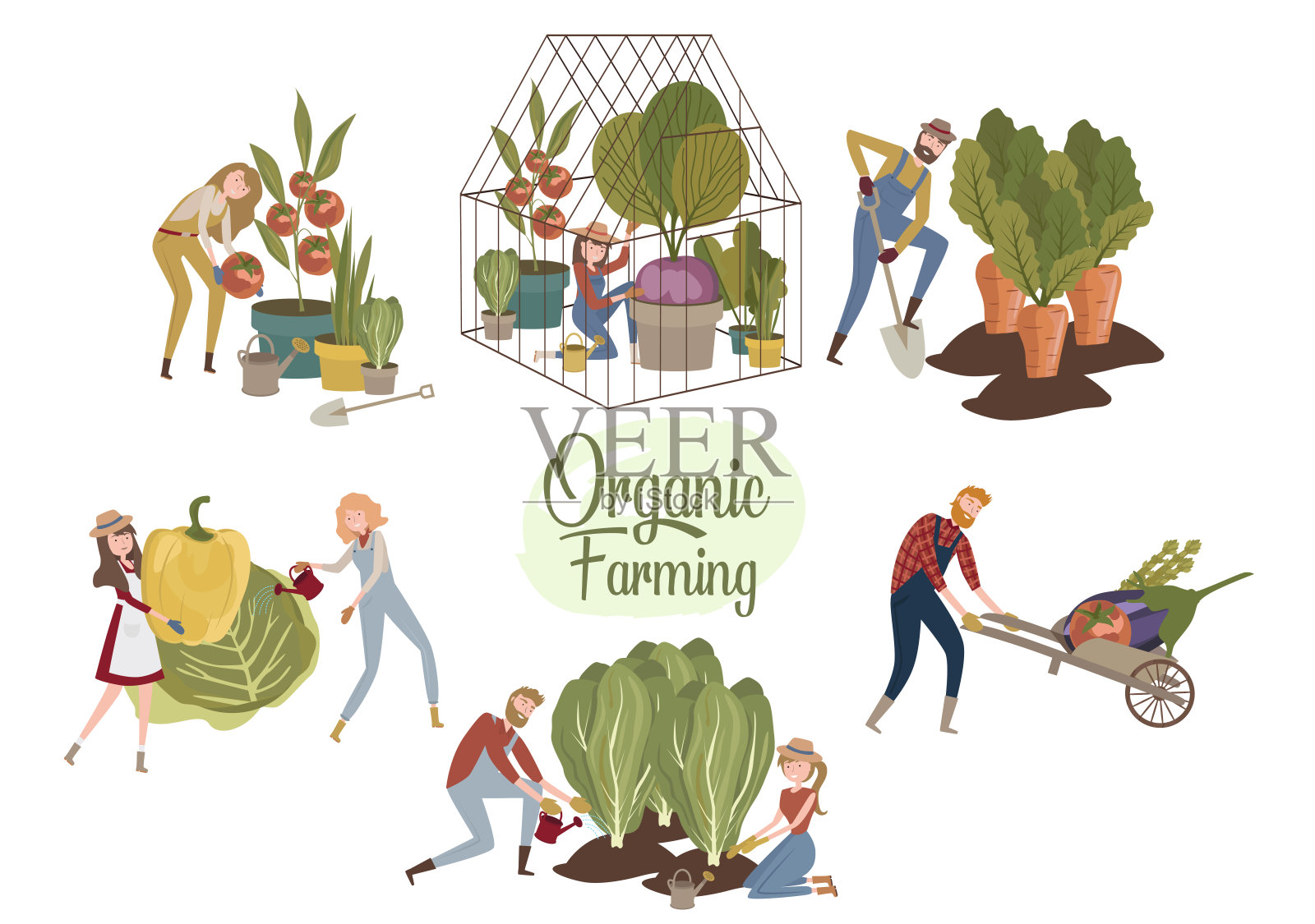 有机农业插图与人们花时间在农场，女孩和男人种植蔬菜，照顾植物。插画图片素材