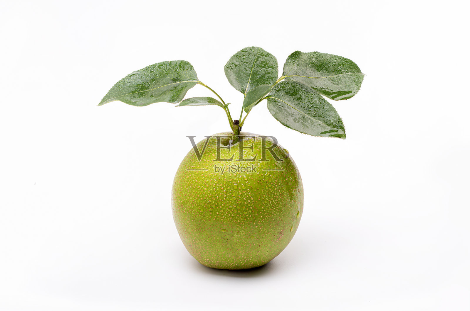 一个带叶子的新鲜梨照片摄影图片