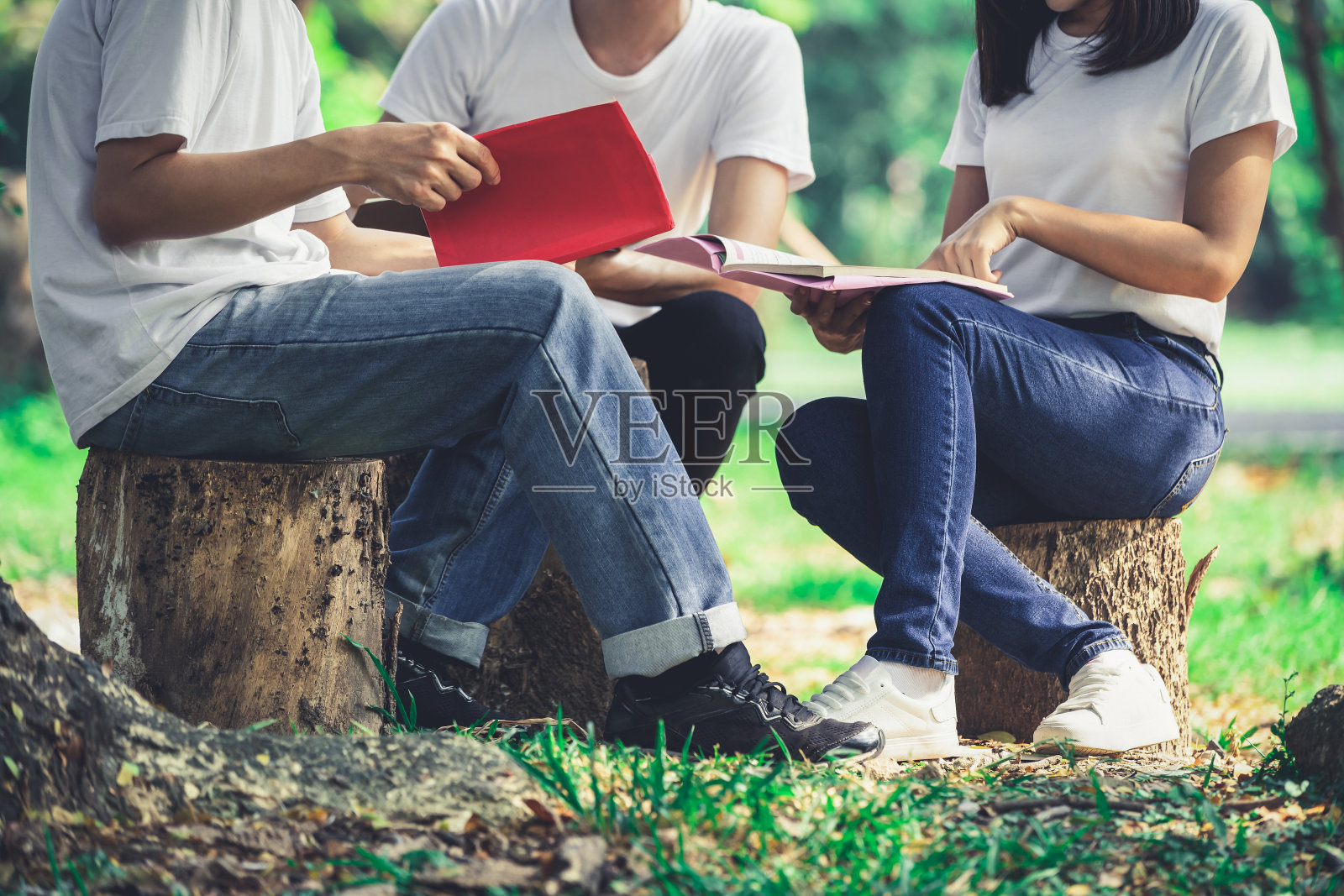 一队年轻的学生在公园里学习。照片摄影图片