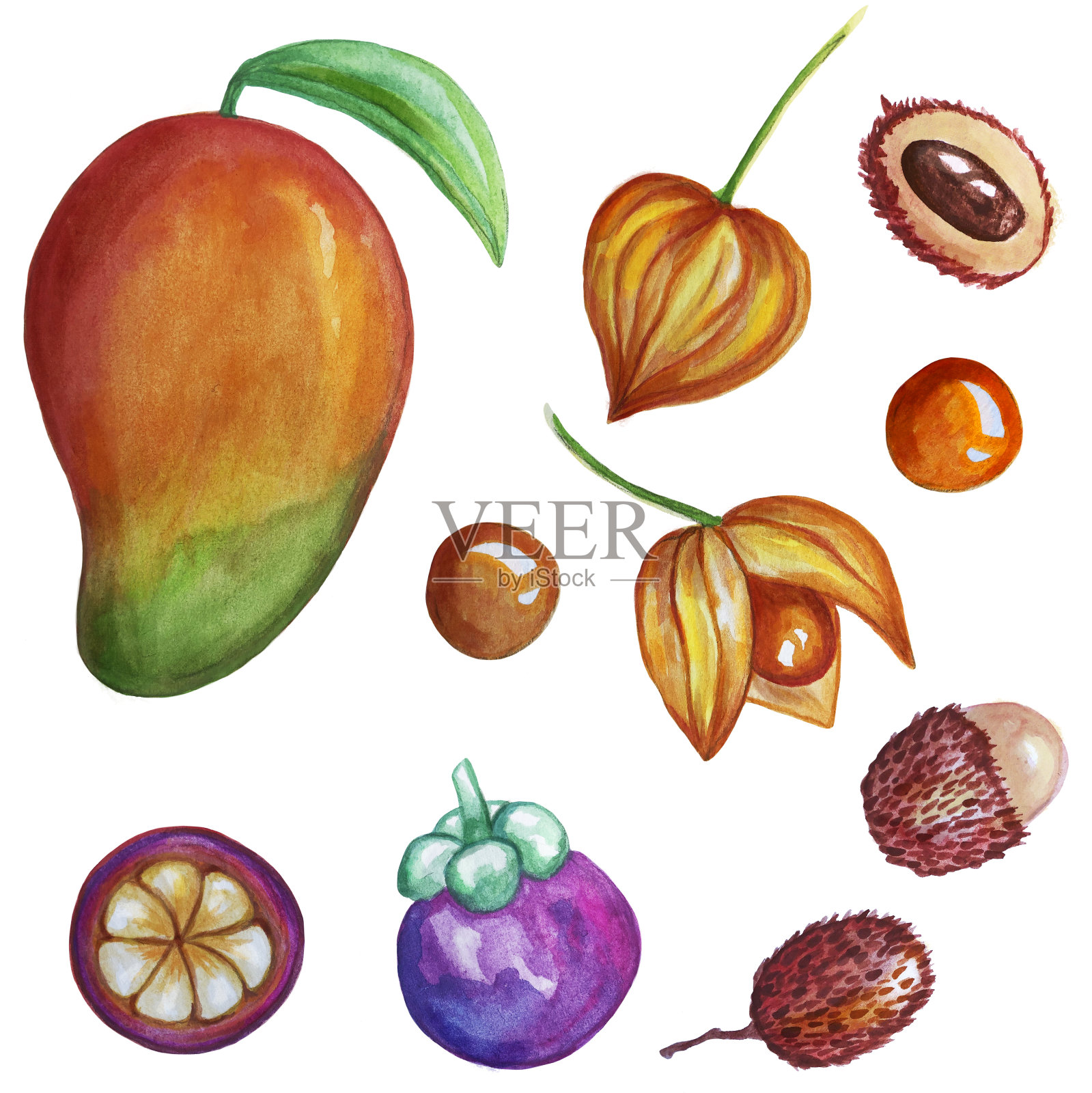 热带水果组插画图片素材