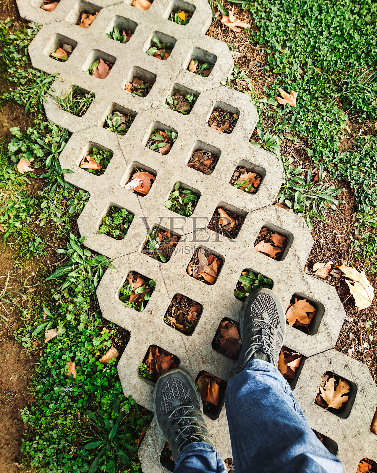 铺草用的有洞的瓷砖。在公园里散步。脚上穿着灰色运动鞋和牛仔裤照片摄影图片