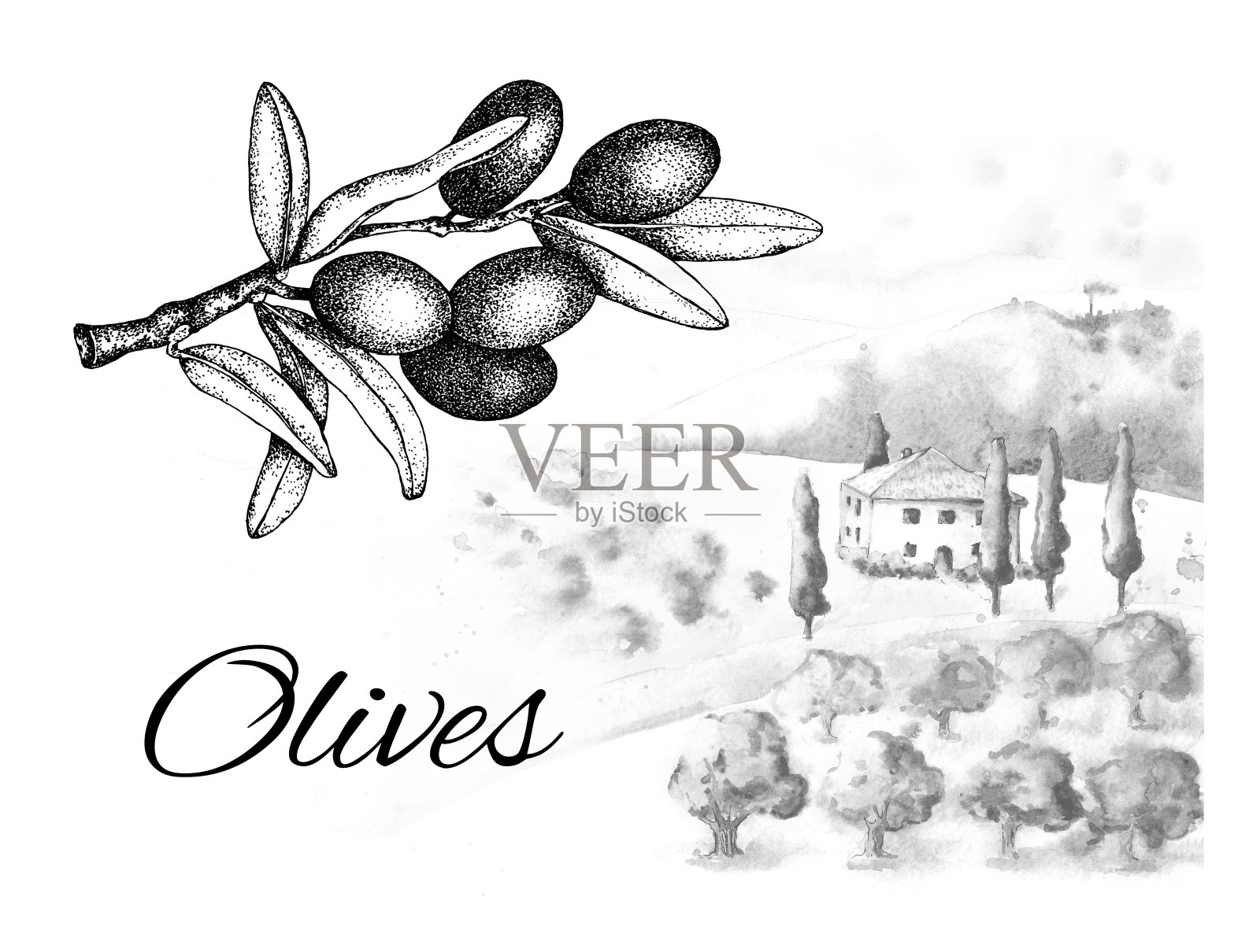 乡下的普罗旺斯农场，一个村庄，一个橄榄园，一个葡萄园和一个水果的树枝。乡间别墅，庄园，树木，柏树在丘陵，山地景观。手水彩插图。插画图片素材