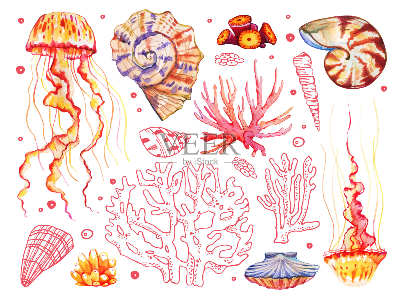 设置水彩和轮廓珊瑚，贝壳和水母。手绘示意图插画图片素材