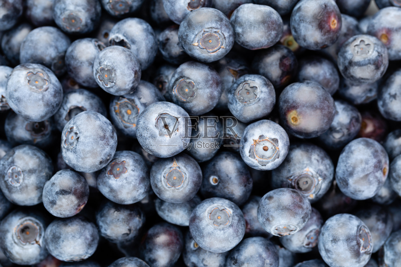 新鲜蓝莓背景。近距离观察蓝莓的质地。照片摄影图片