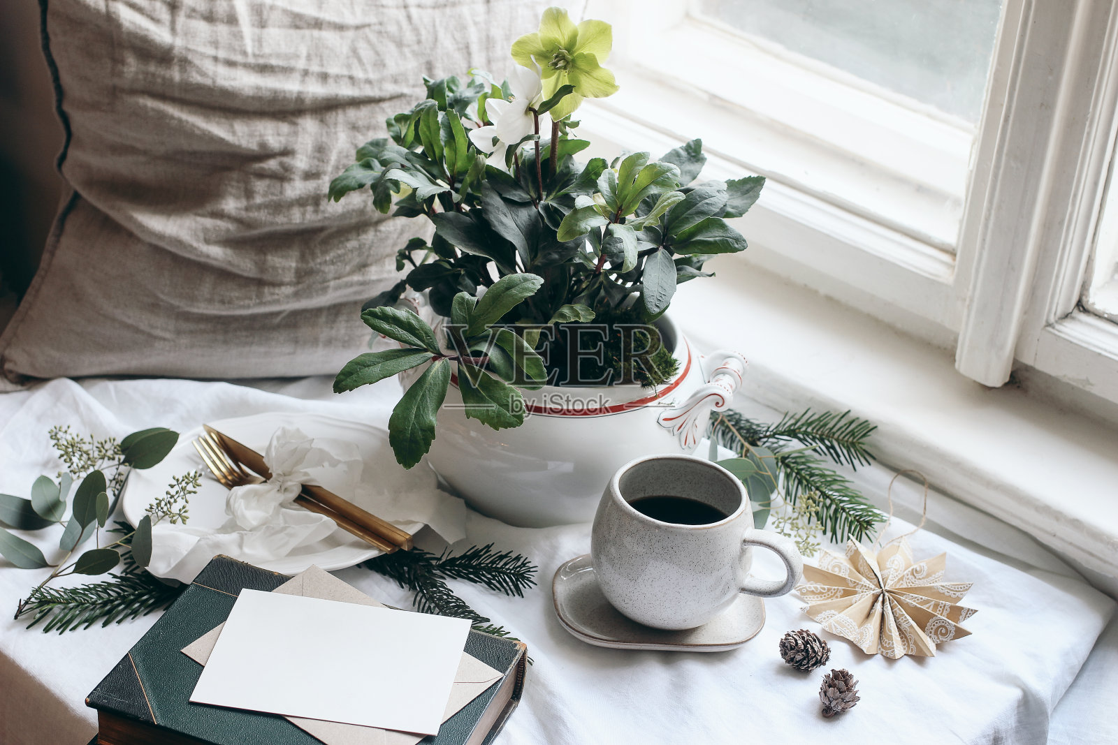 冬季早餐静物场景。穆迪圣诞节日餐桌上布置着金色的餐具，咖啡杯，贺卡，桉树和杉树树枝。窗边的一盆嚏根草。照片摄影图片