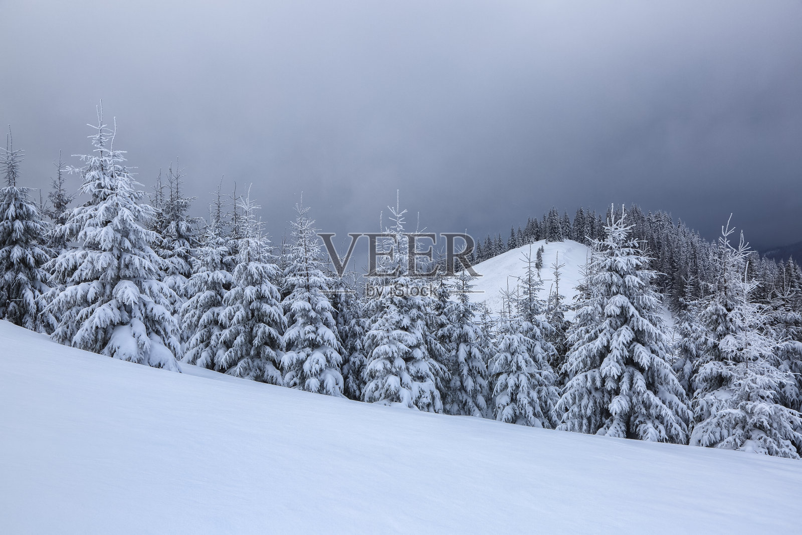 在寒冷多雾的冬天早晨，美丽的风景。高山和雪白色的山峰。神奇的森林。壁纸背景。地点:欧洲，乌克兰，喀尔巴阡。照片摄影图片