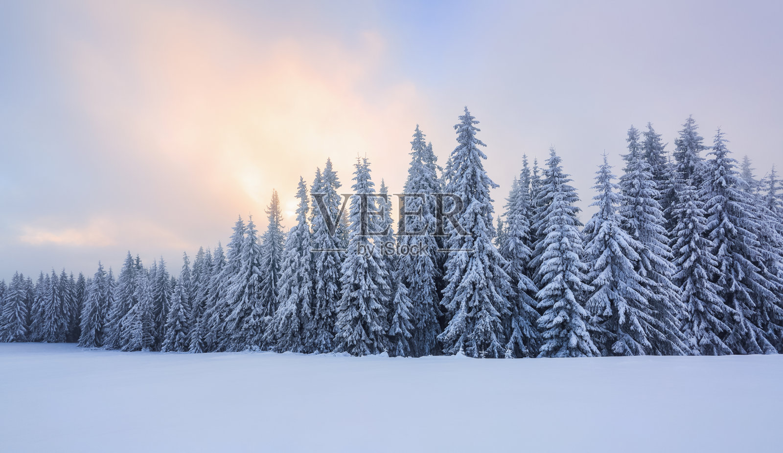 寒冷的冬天的早晨。从草坪上望去，鸟瞰覆盖着霜冻的树木在雪堆里，高高的山峰上点缀着雪白的山峰。阳光使天空的云变成橘黄色。照片摄影图片
