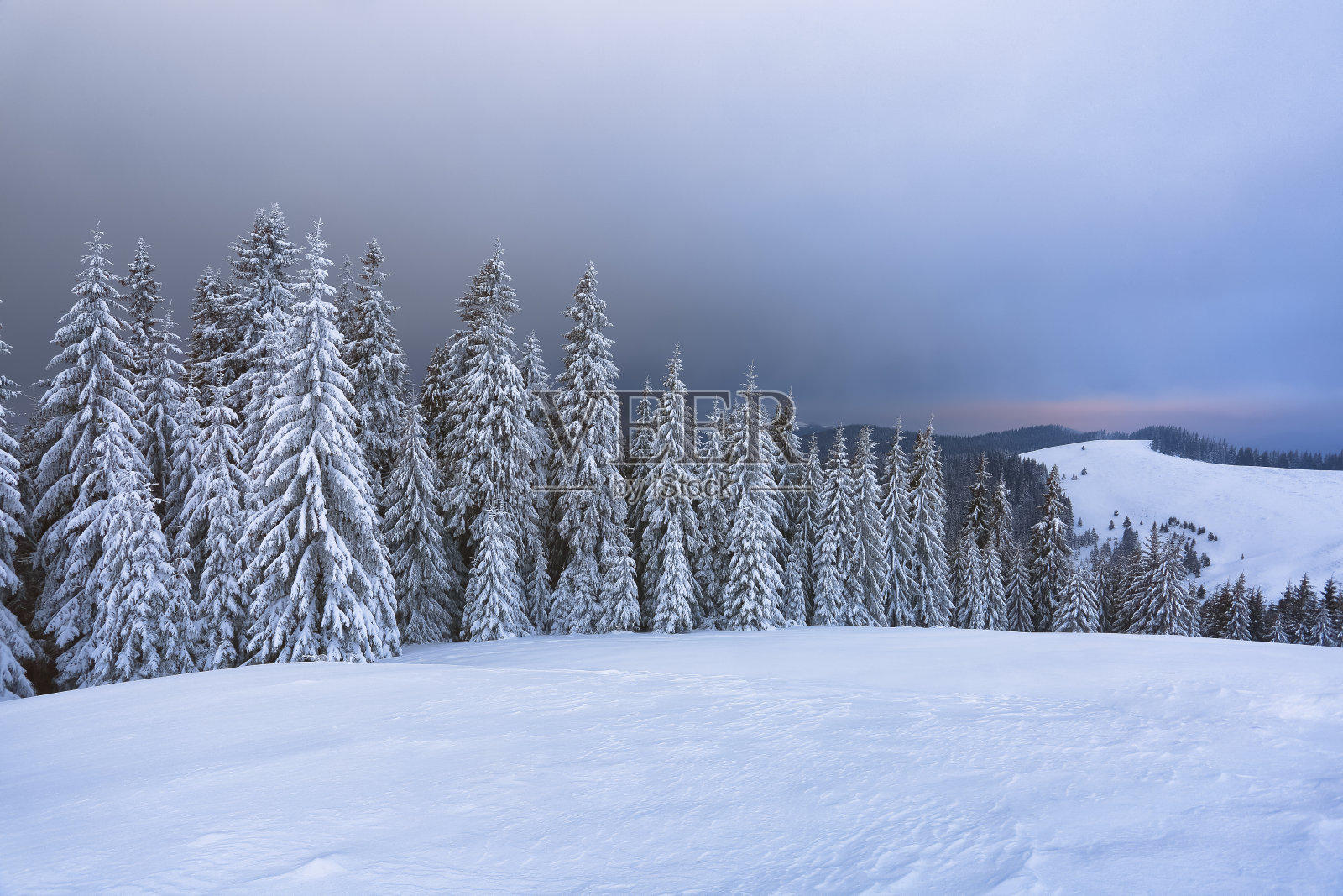 风景有山脉，雪林和美丽的日出。雄伟的冬季景色。戏剧性的天空。草地上覆盖着雪。壁纸背景。地点:欧洲，乌克兰，喀尔巴阡。照片摄影图片