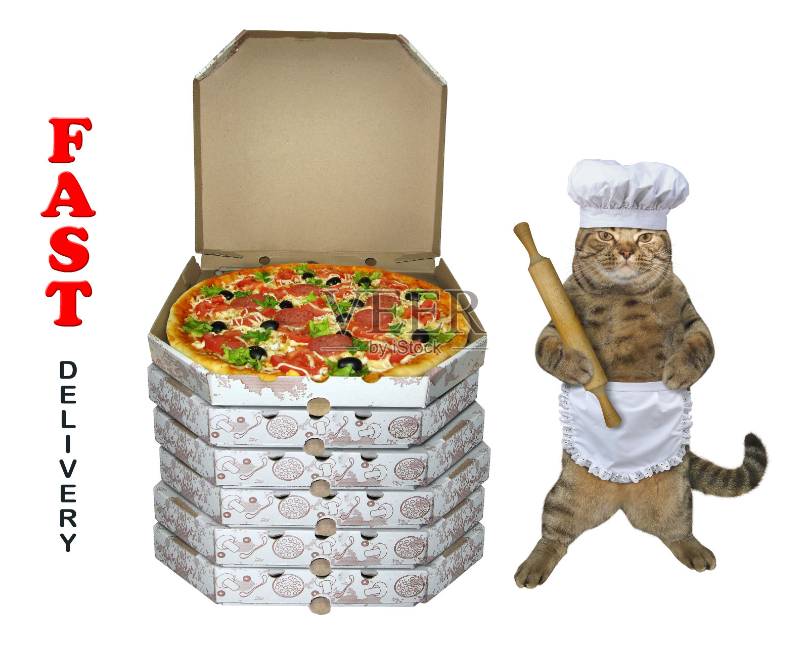 披萨旁边的猫面包师照片摄影图片