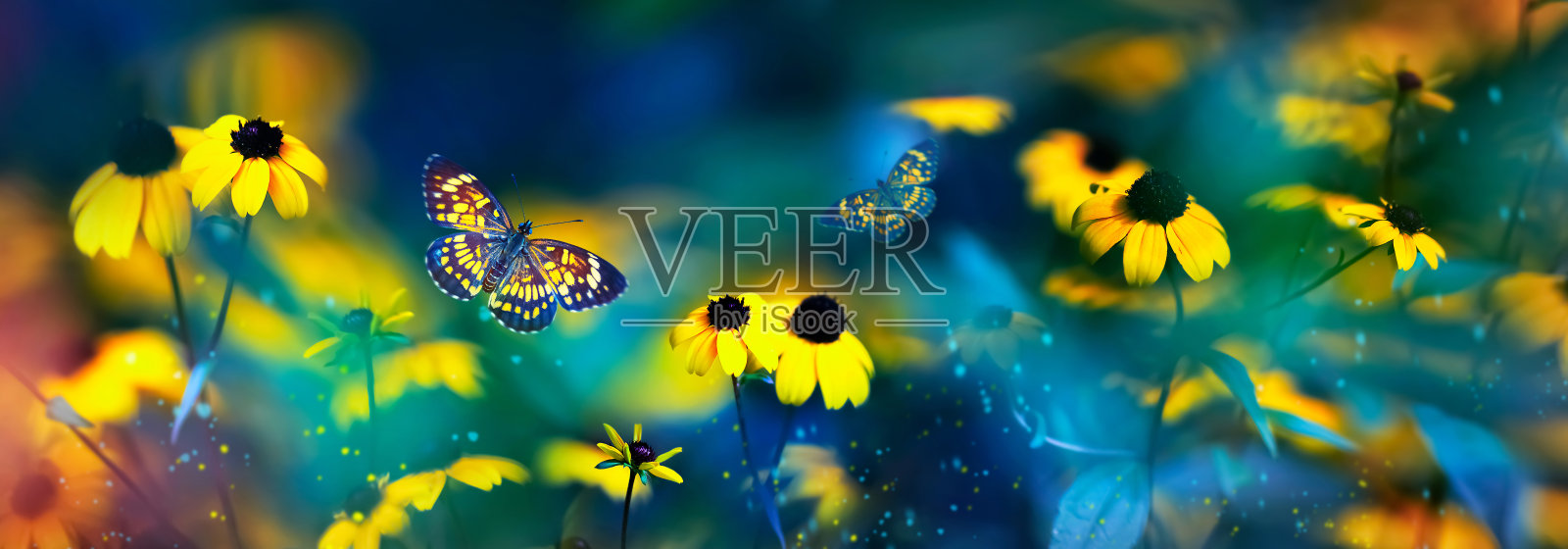热带蝴蝶和黄色鲜艳的夏季花朵在五彩缤纷的树叶背景在一个童话花园。宏观的艺术形象。横幅的格式。照片摄影图片