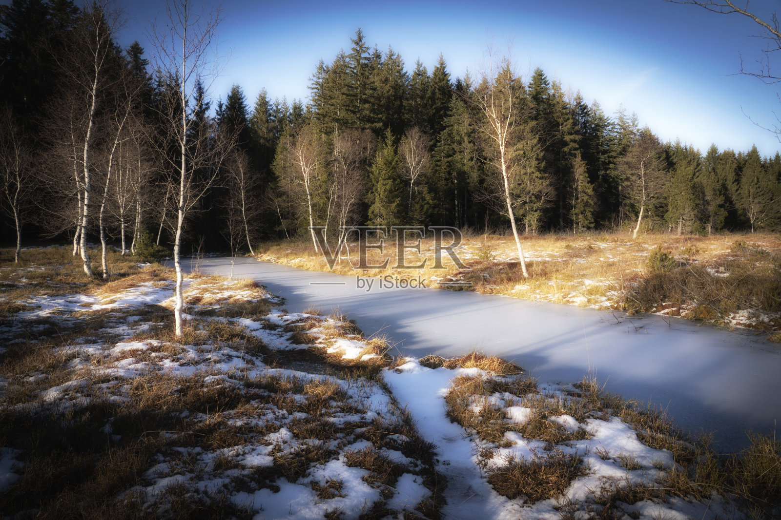 奥地利沃拉尔贝格神秘的冬季森林照片摄影图片