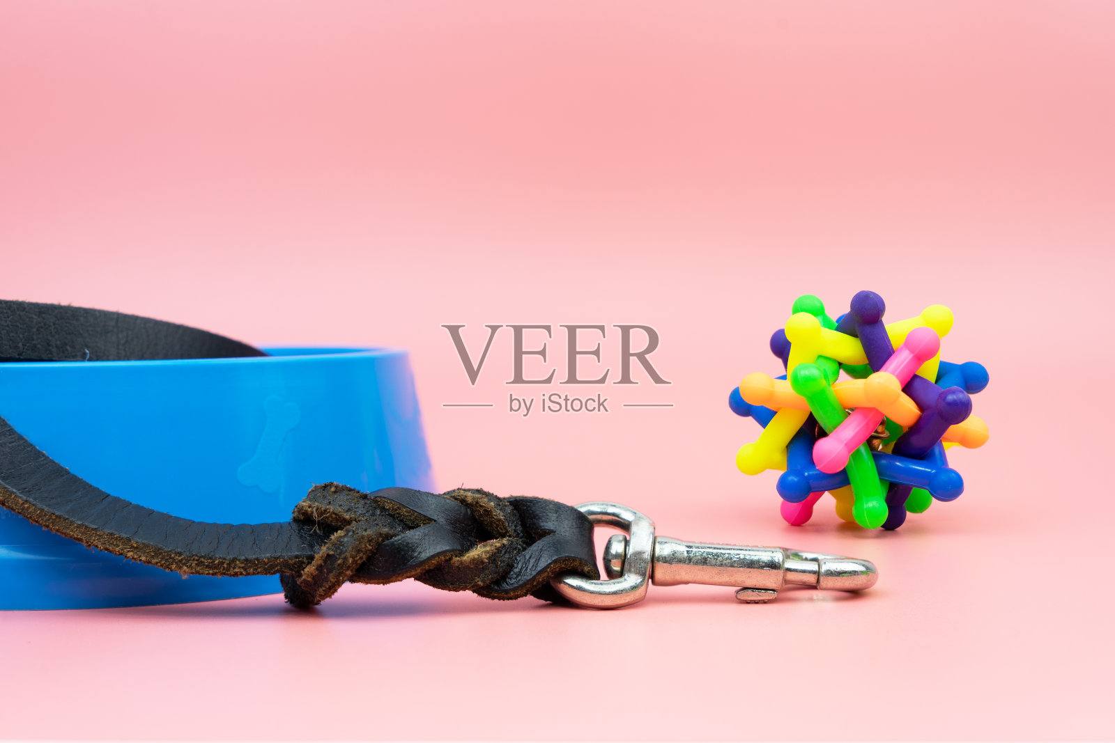 宠物皮带与橡胶玩具的彩色背景照片摄影图片