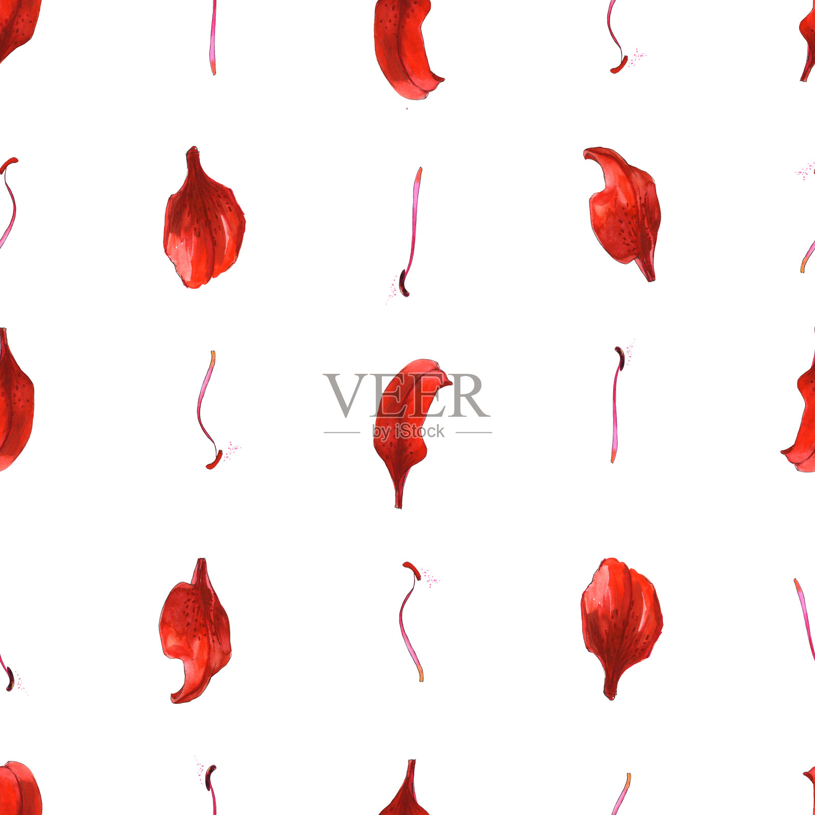无缝图案桔红黄百合花瓣雄蕊花-水彩插图插画图片素材