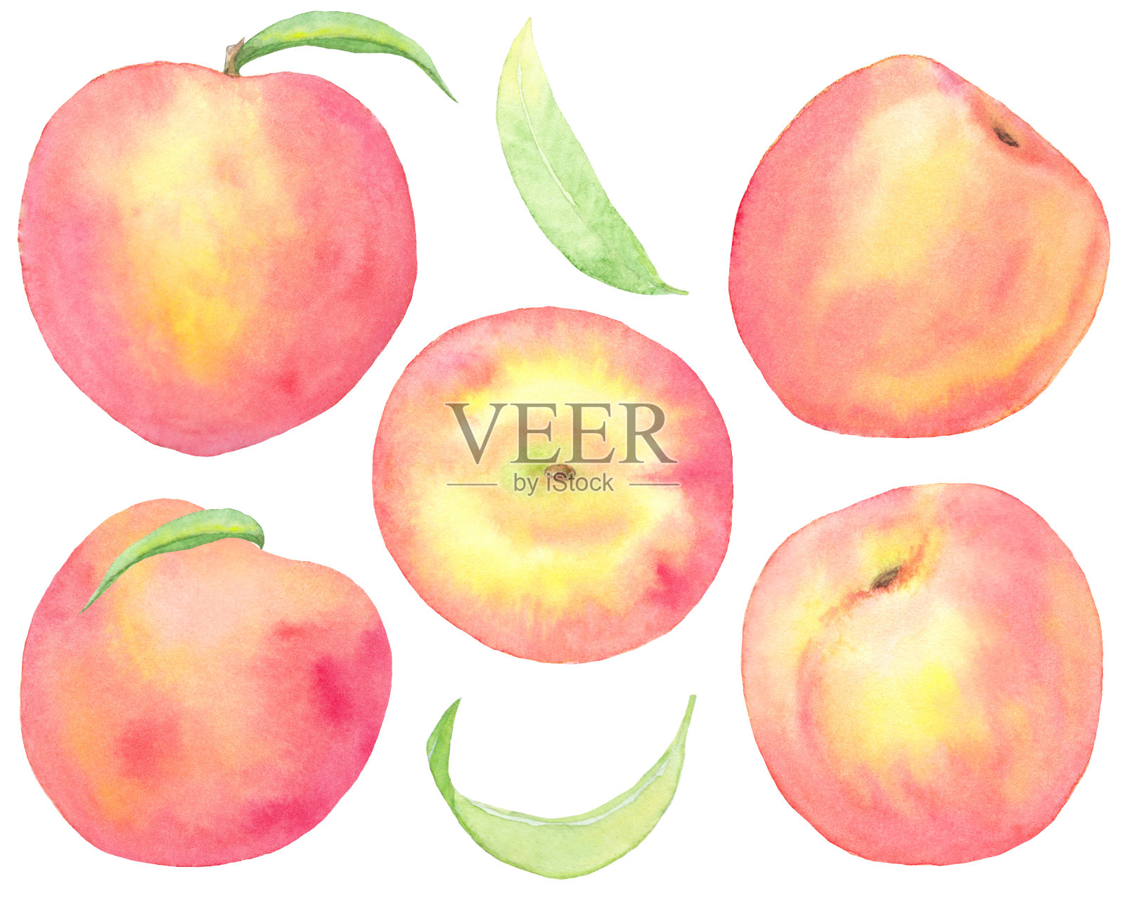 水彩集桃子水果和树叶插画图片素材