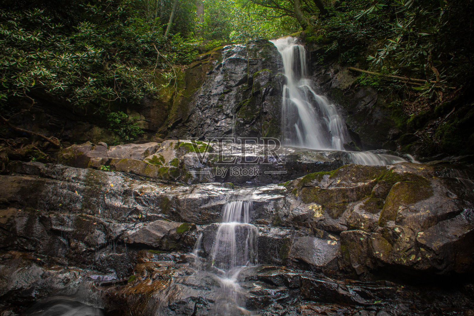 月桂瀑布——大烟山国家公园的瀑布照片摄影图片