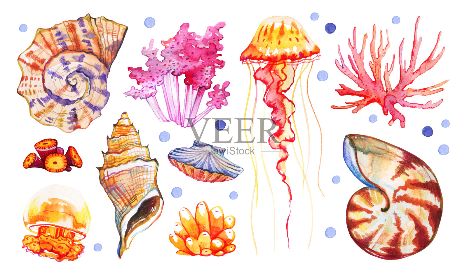 一组贝壳，珊瑚和水母。手绘水彩插图插画图片素材