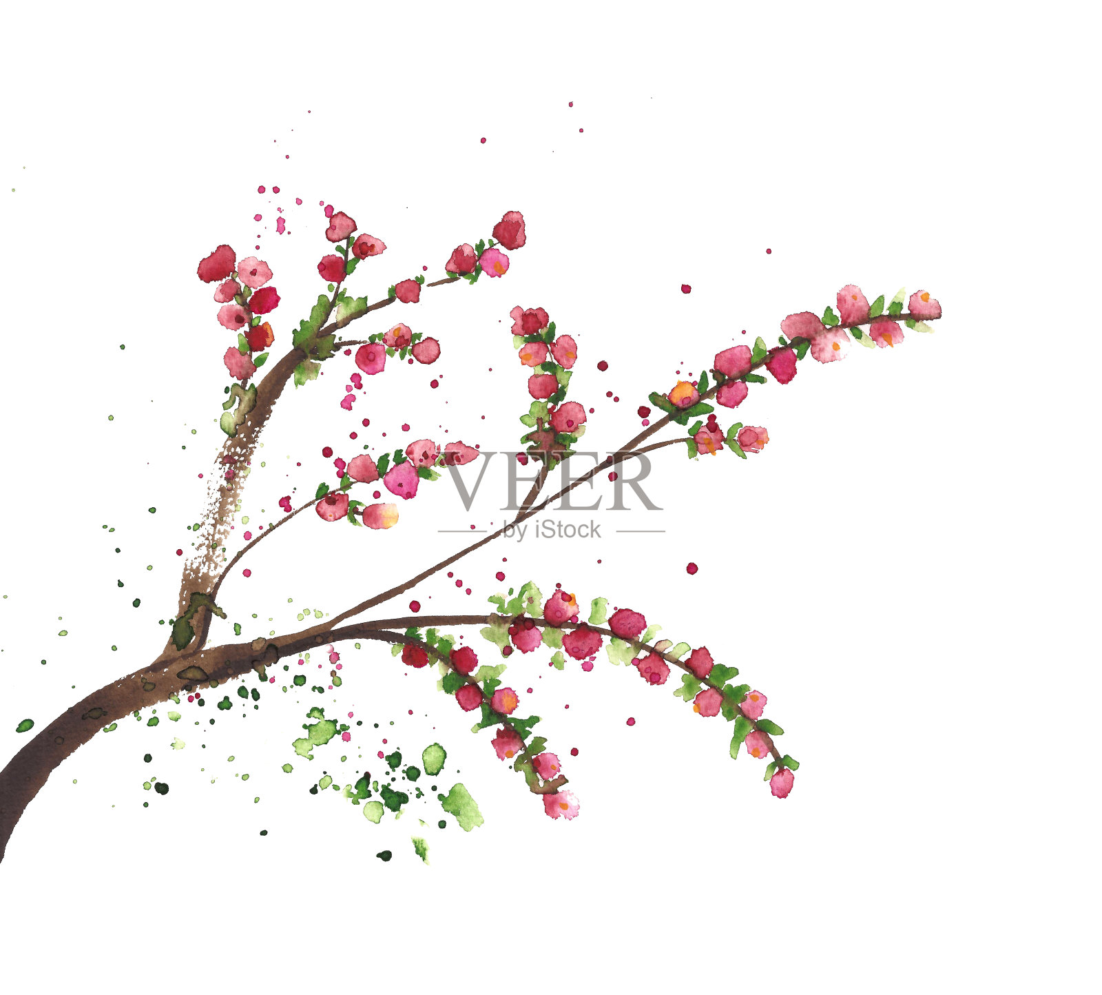 水彩春花枝，樱花插画图片素材