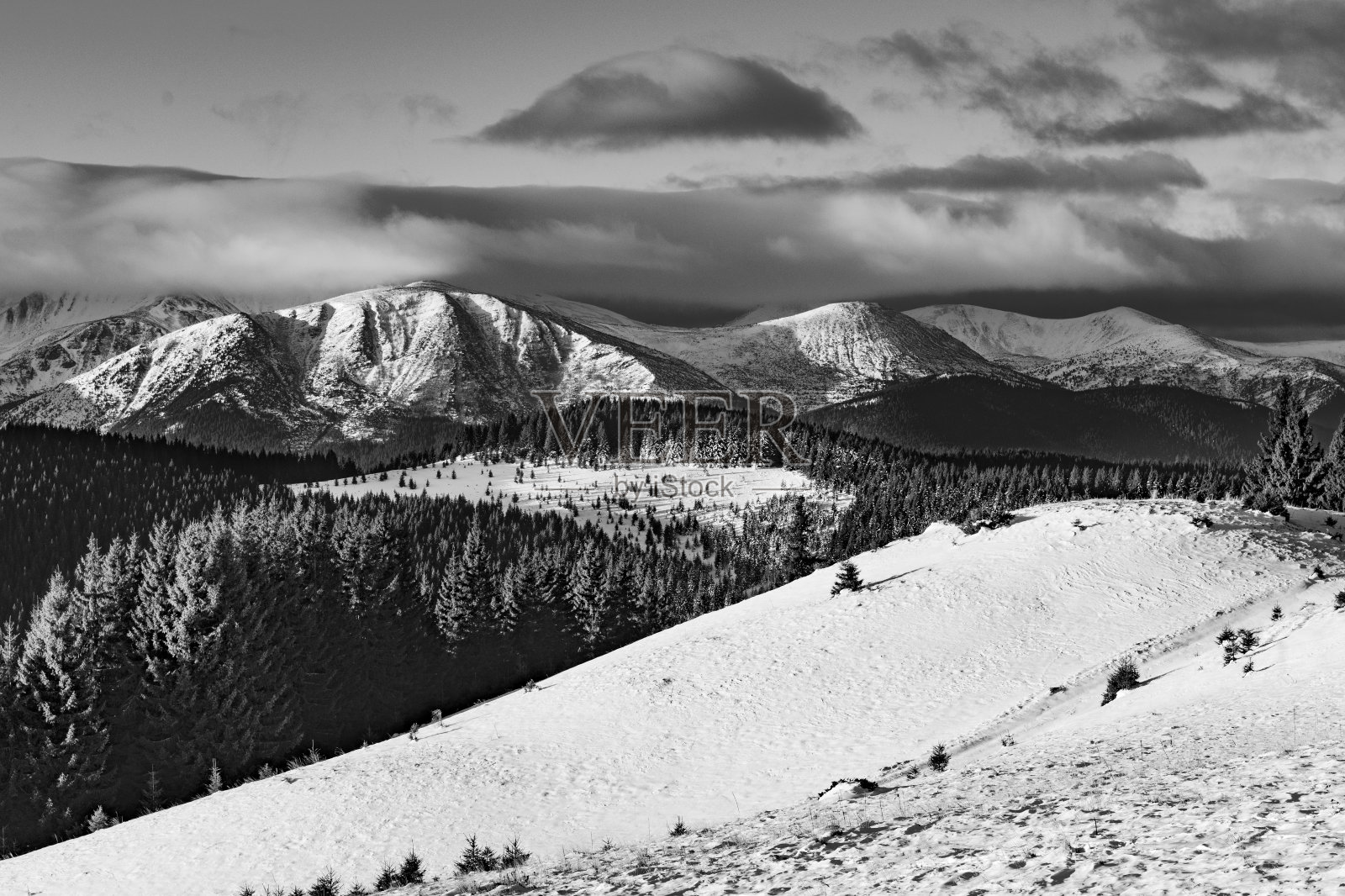 黑白相间的冬季山水艺术。喀尔巴阡山脉,乌克兰。高分辨率。照片摄影图片